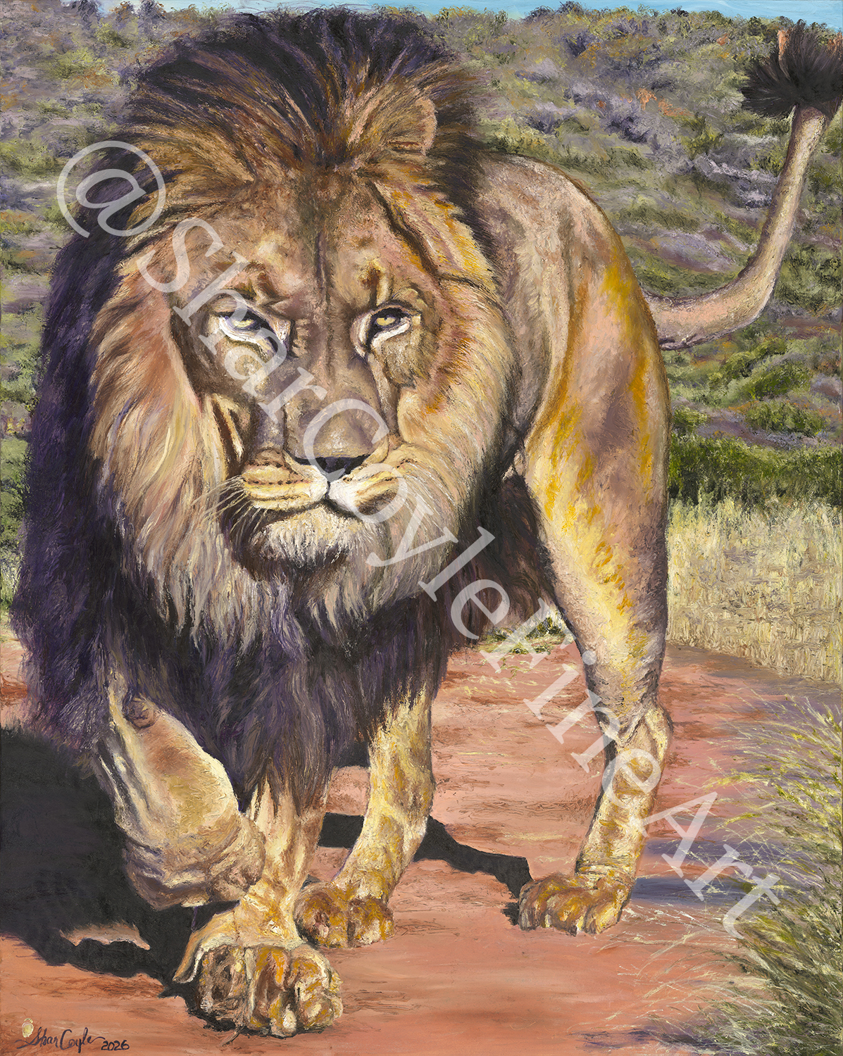 Jacque the Lion
