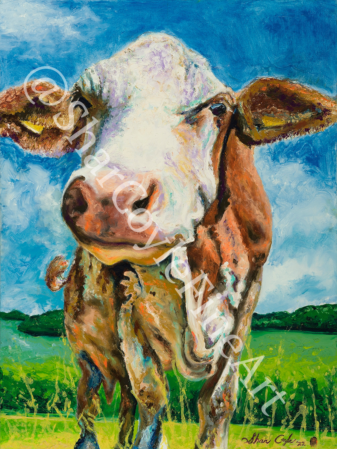 Chester the Cow