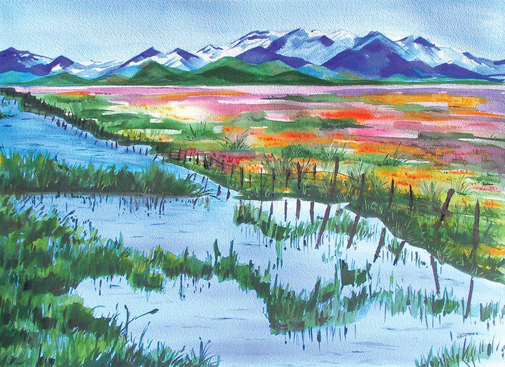 Fields of Color - Copy.jpg