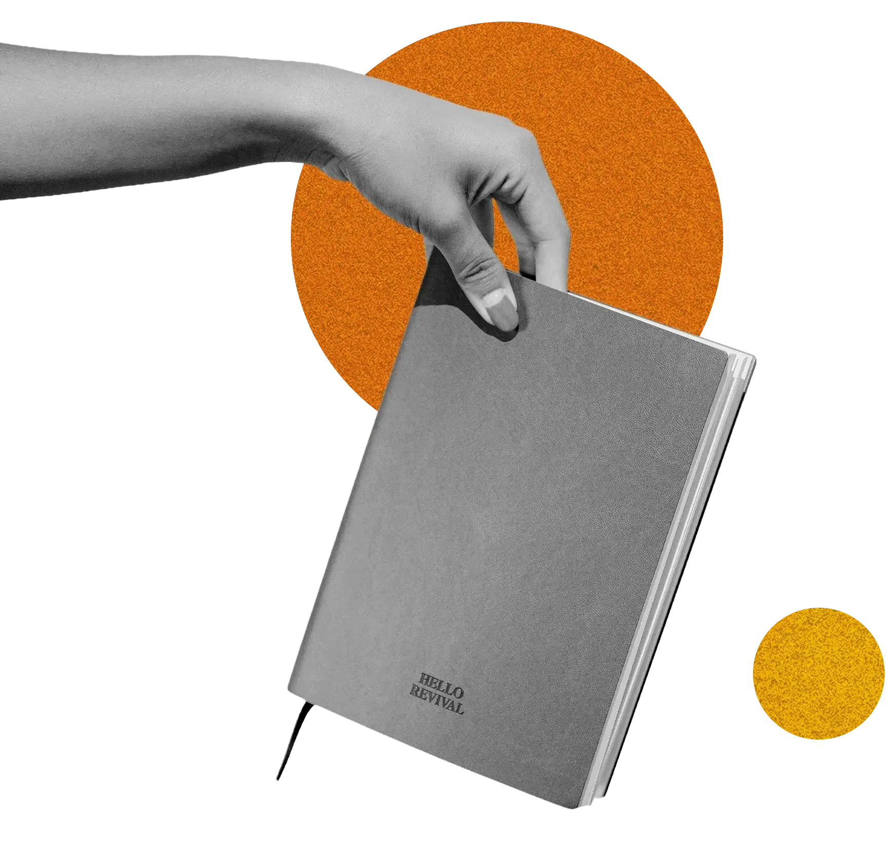 hand holding journal