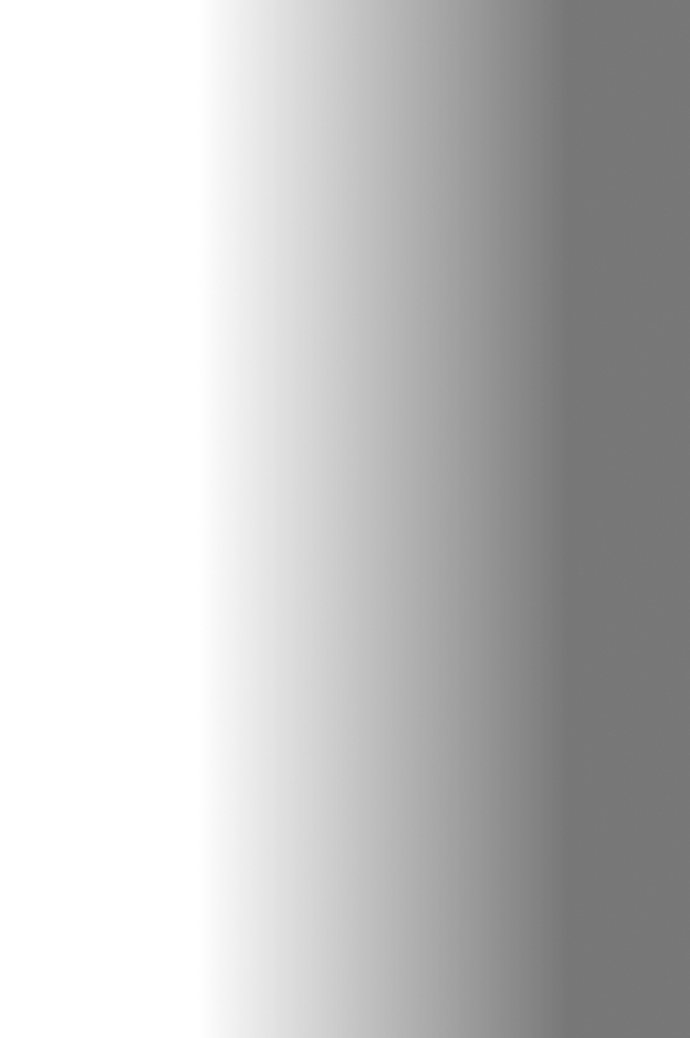 A vertical gradient transitioning smoothly from white on the left to dark gray on the right.