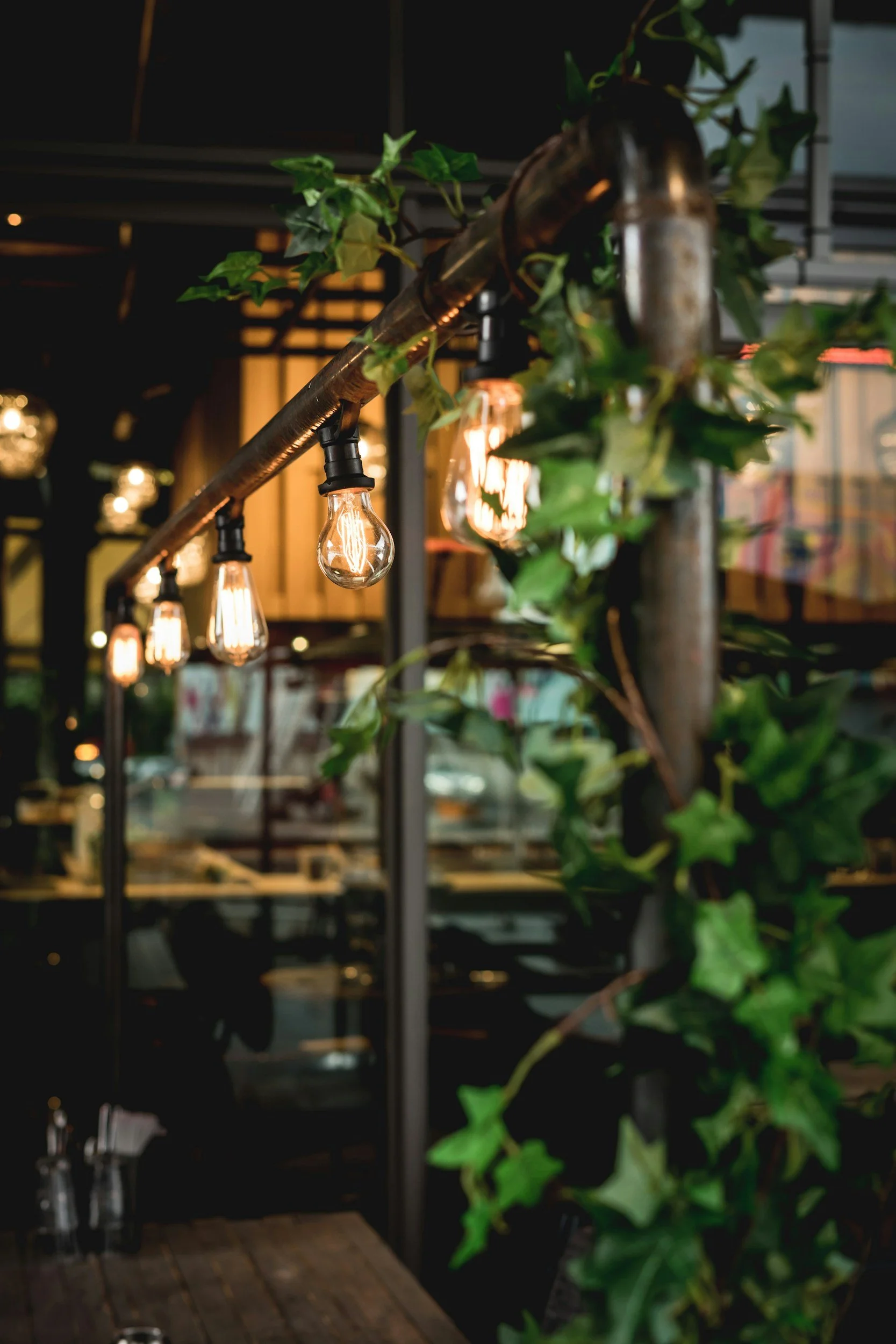 Close-up of hanging Edison-style light bulbs attached to a pipe, decorated with green ivy and set in an indoor area with warm lighting and wooden flooring.
