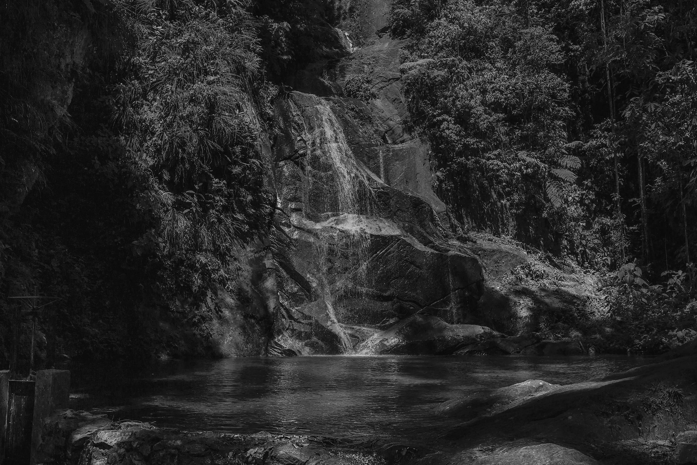Pucayaquillo, Tarapoto, 2017