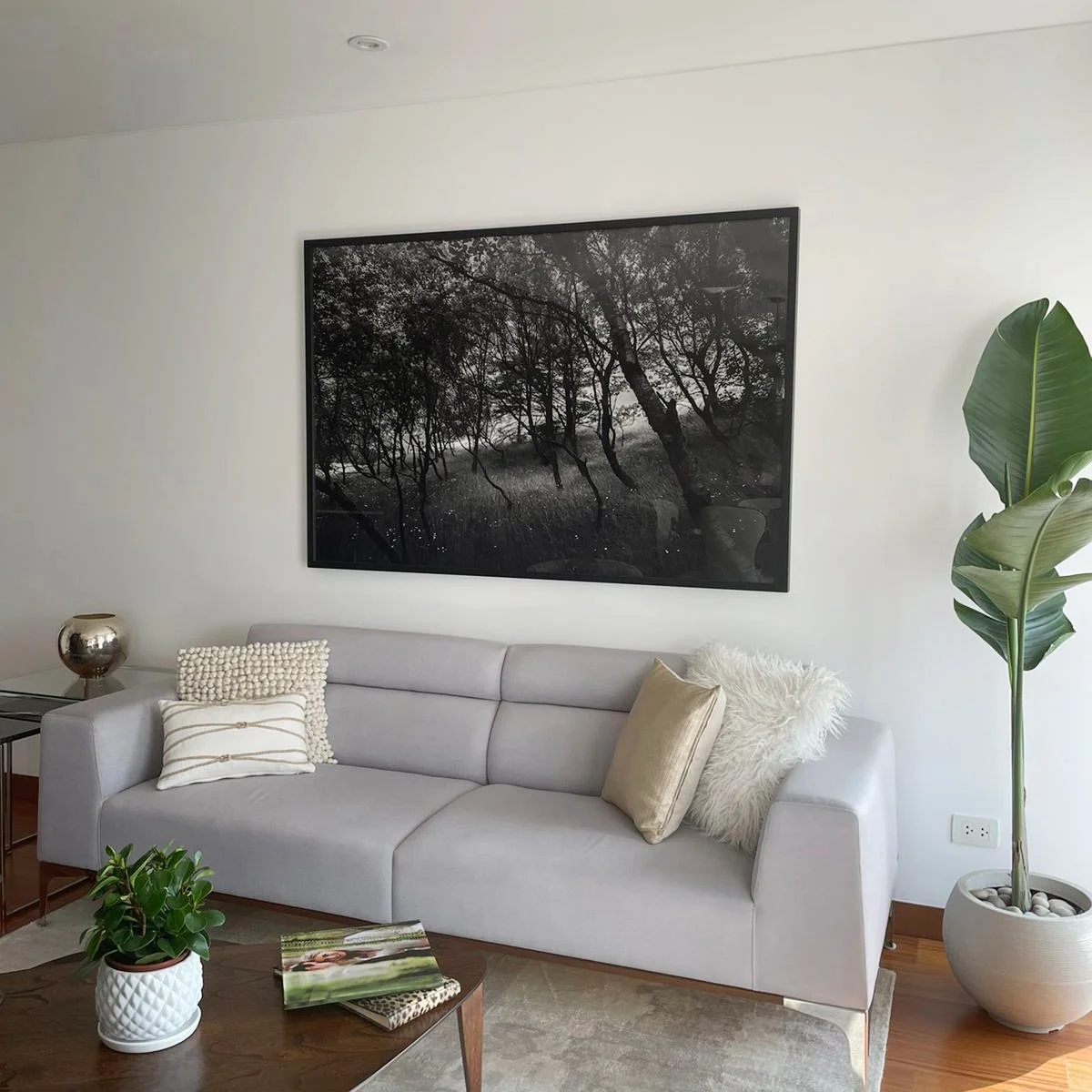 Sala moderna con sofá gris, cojines beige y blancos, una planta grande en maceta blanca, cuadro en la pared con árboles en escala de gris, mesa de café con revista y planta pequeña.