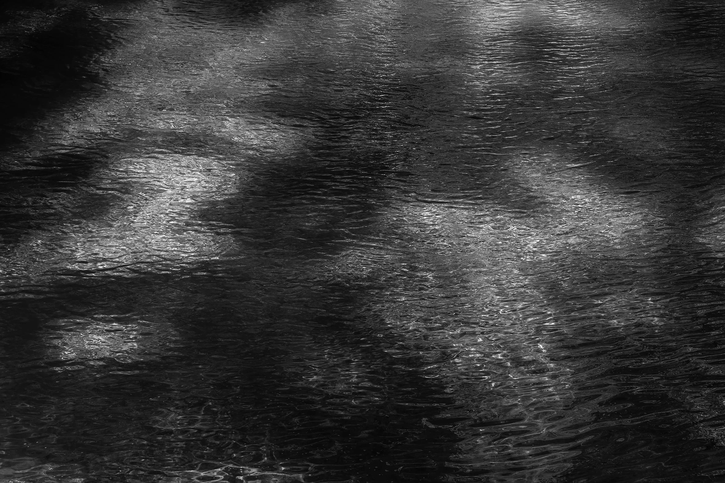 Luces del Amazonas, 2016