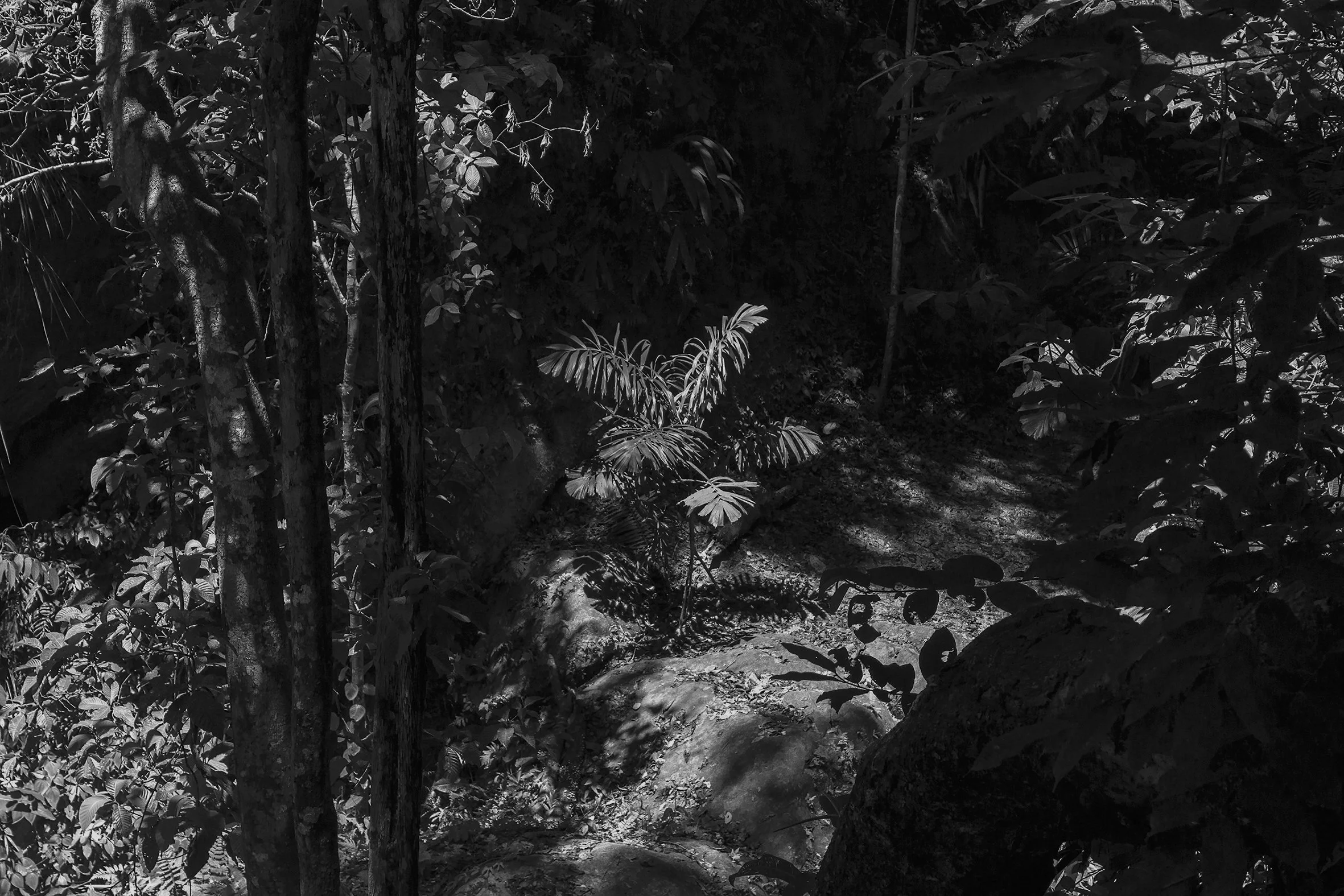 Sin título, Tarapoto, 2017