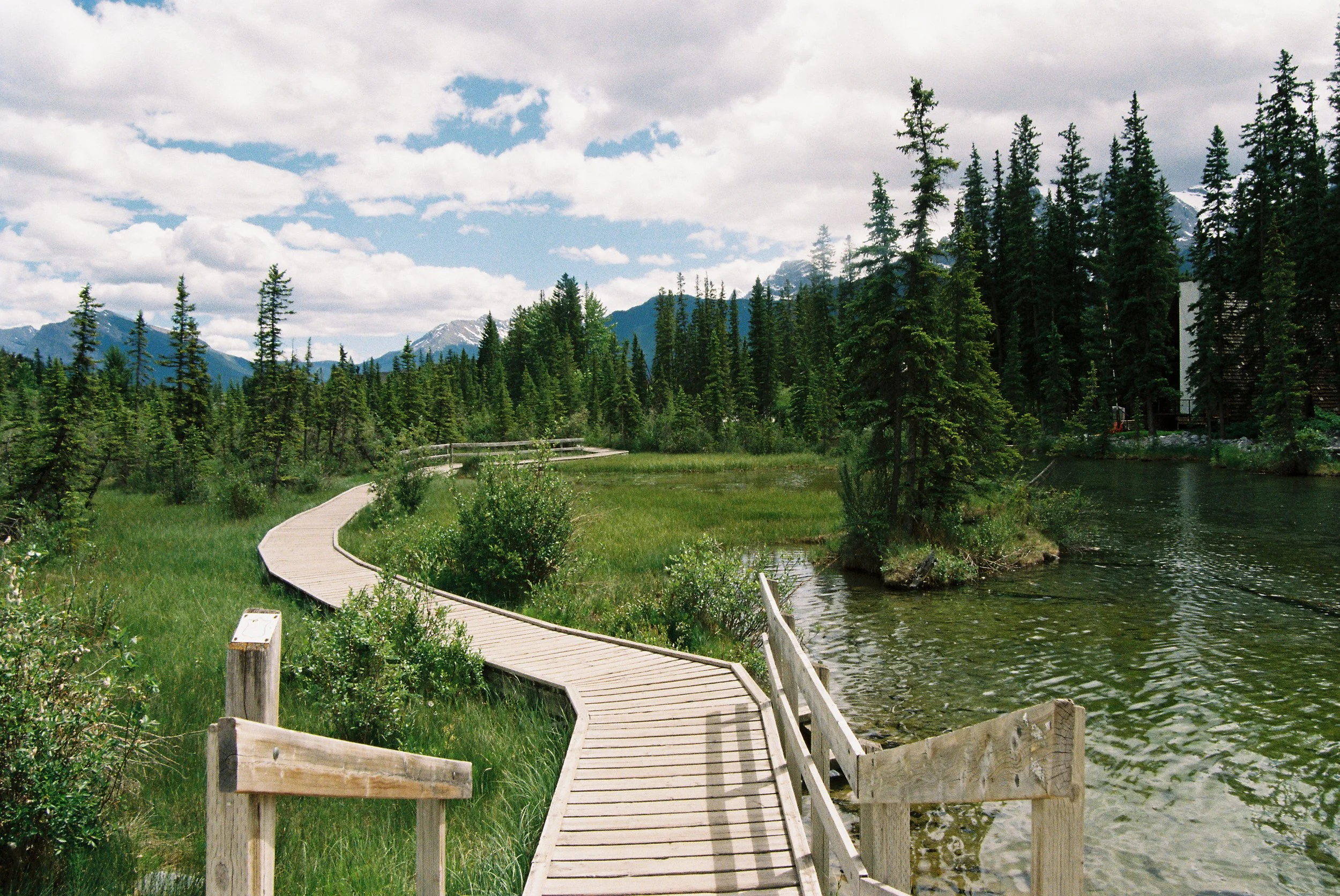 A winding wooden boardwalk along a river, surrounded by tall evergreen trees, with mountains in the background and a partly cloudy sky overhead. Film photo taken by Doha