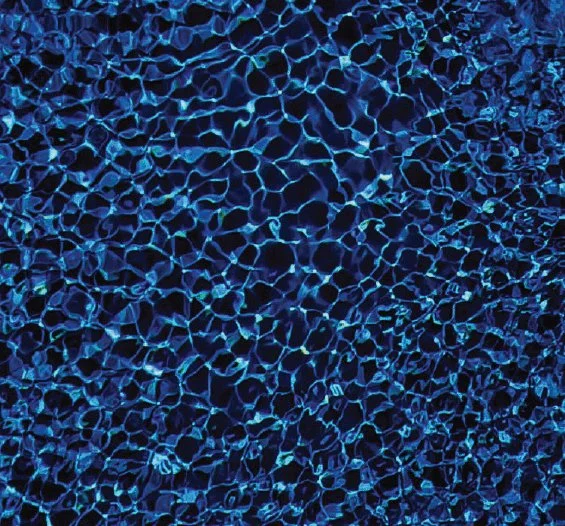 Swatch of pool water colour