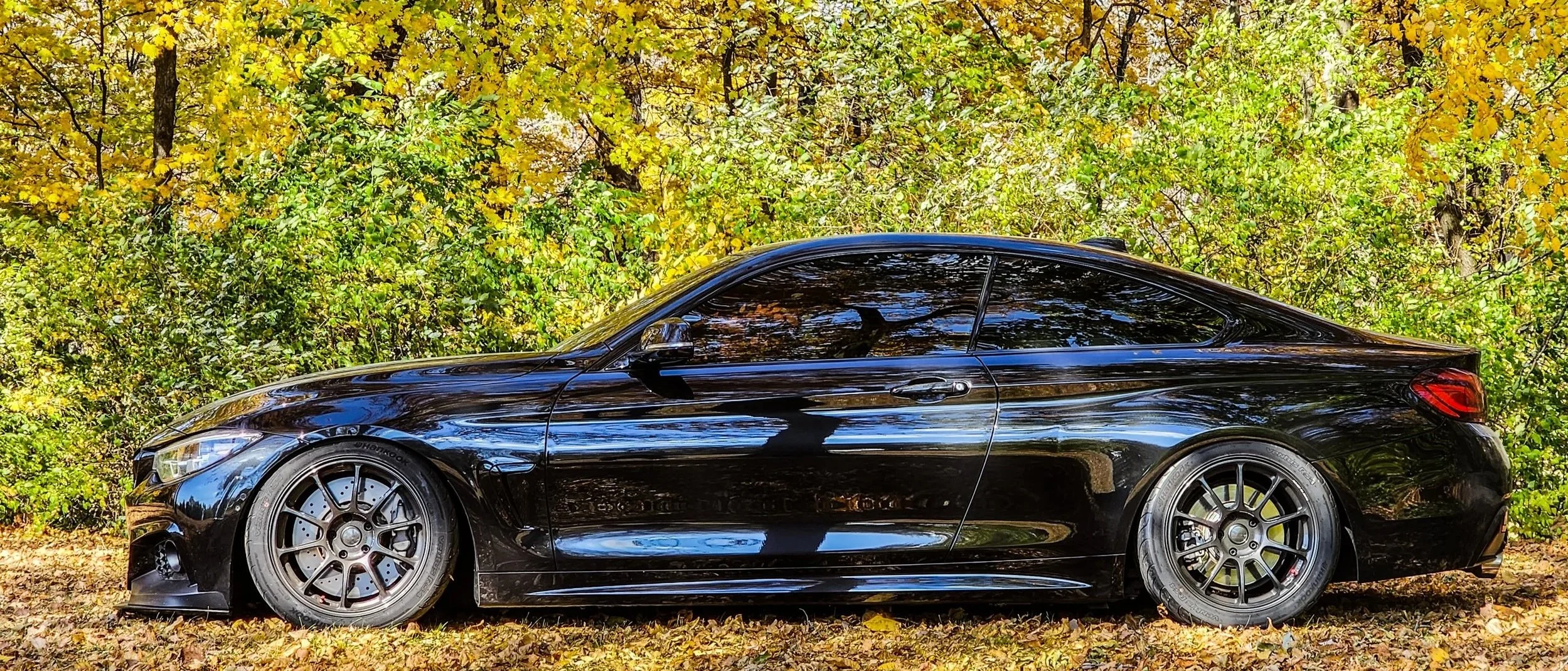 1000020438.jpg