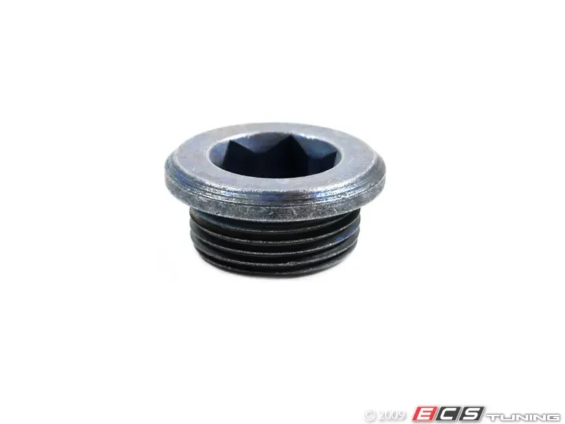 BMW Drain Plug (Differential & Transfer Case)
