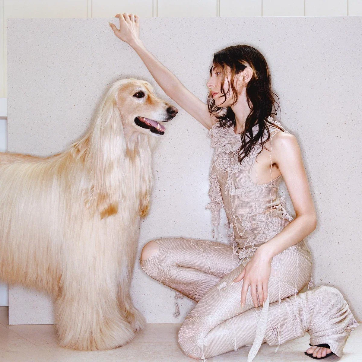 Grooming 101 Dogs With Long Locks