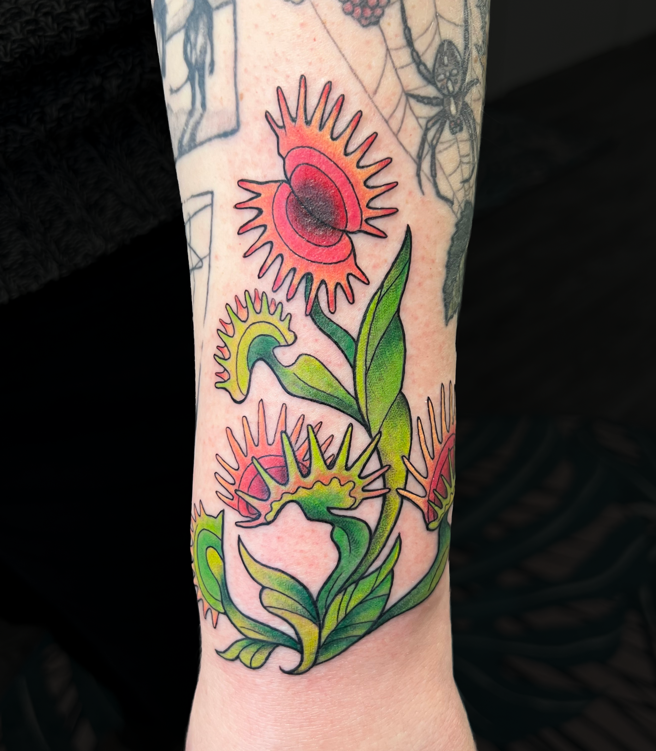 Colorful tattoo of a carnivorous plant with green leaves and red, yellow, and pink flower or seed pods on a person's arm.