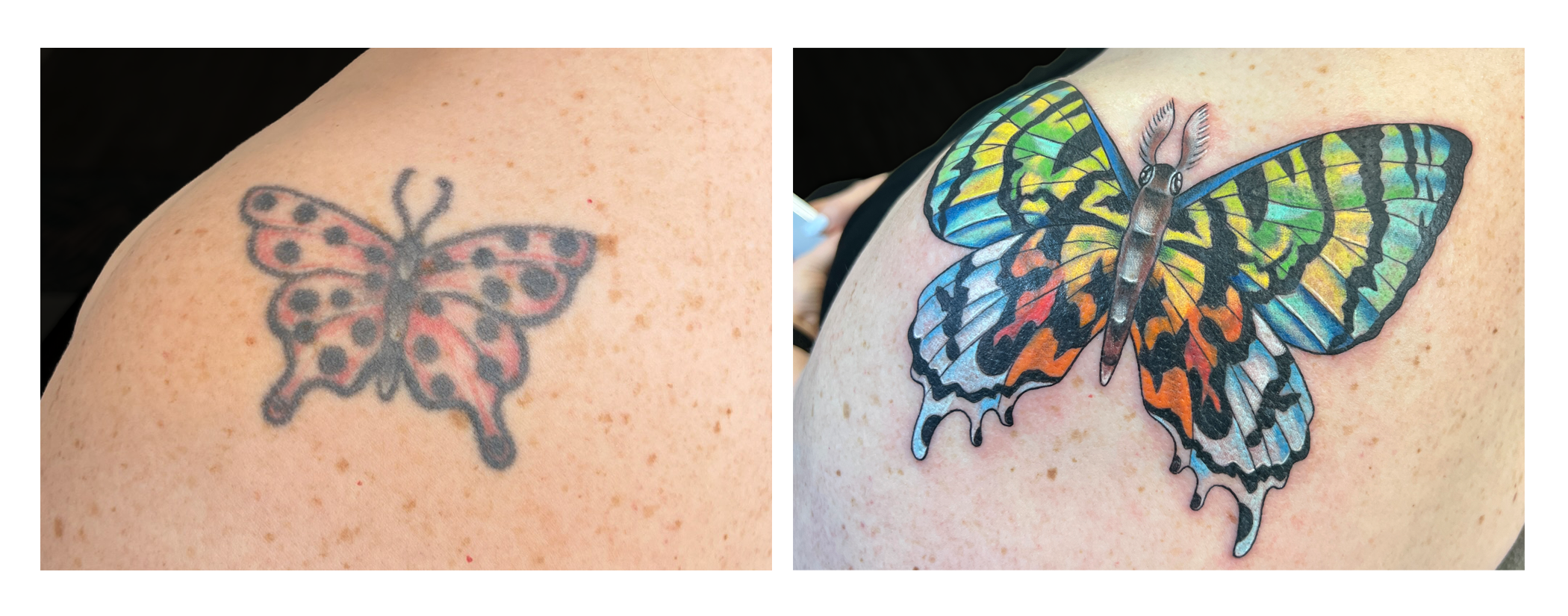 butterfly2.png