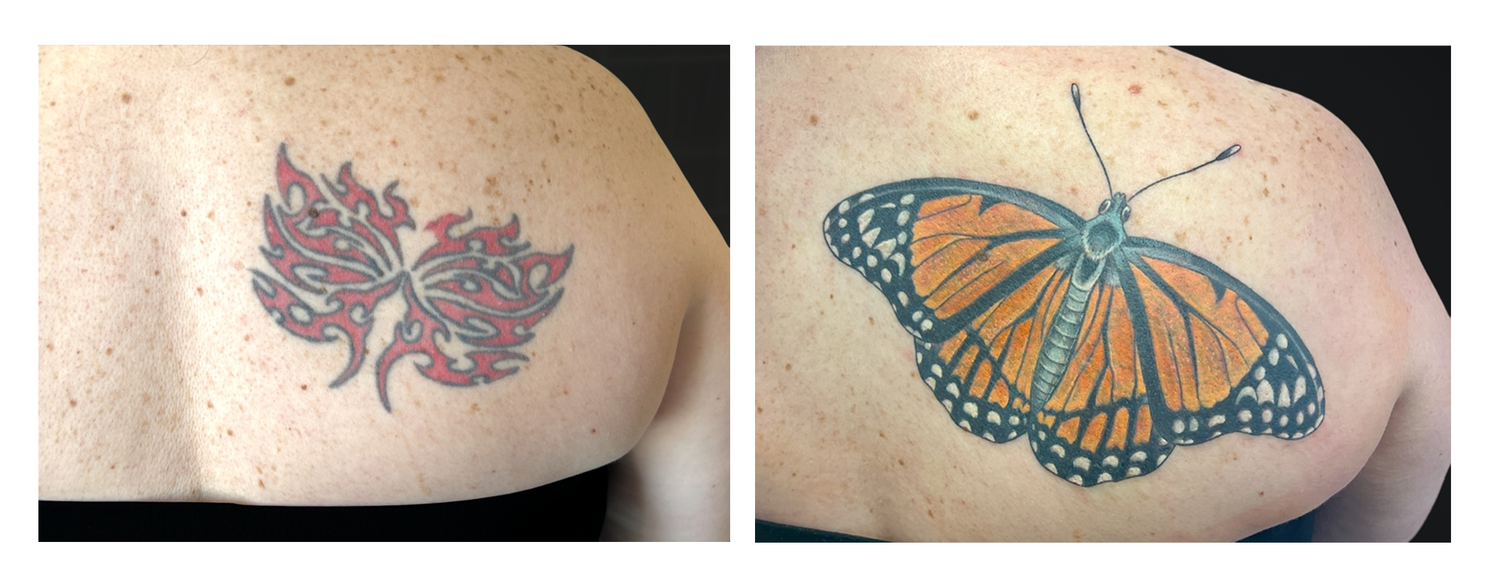 butterfly.png
