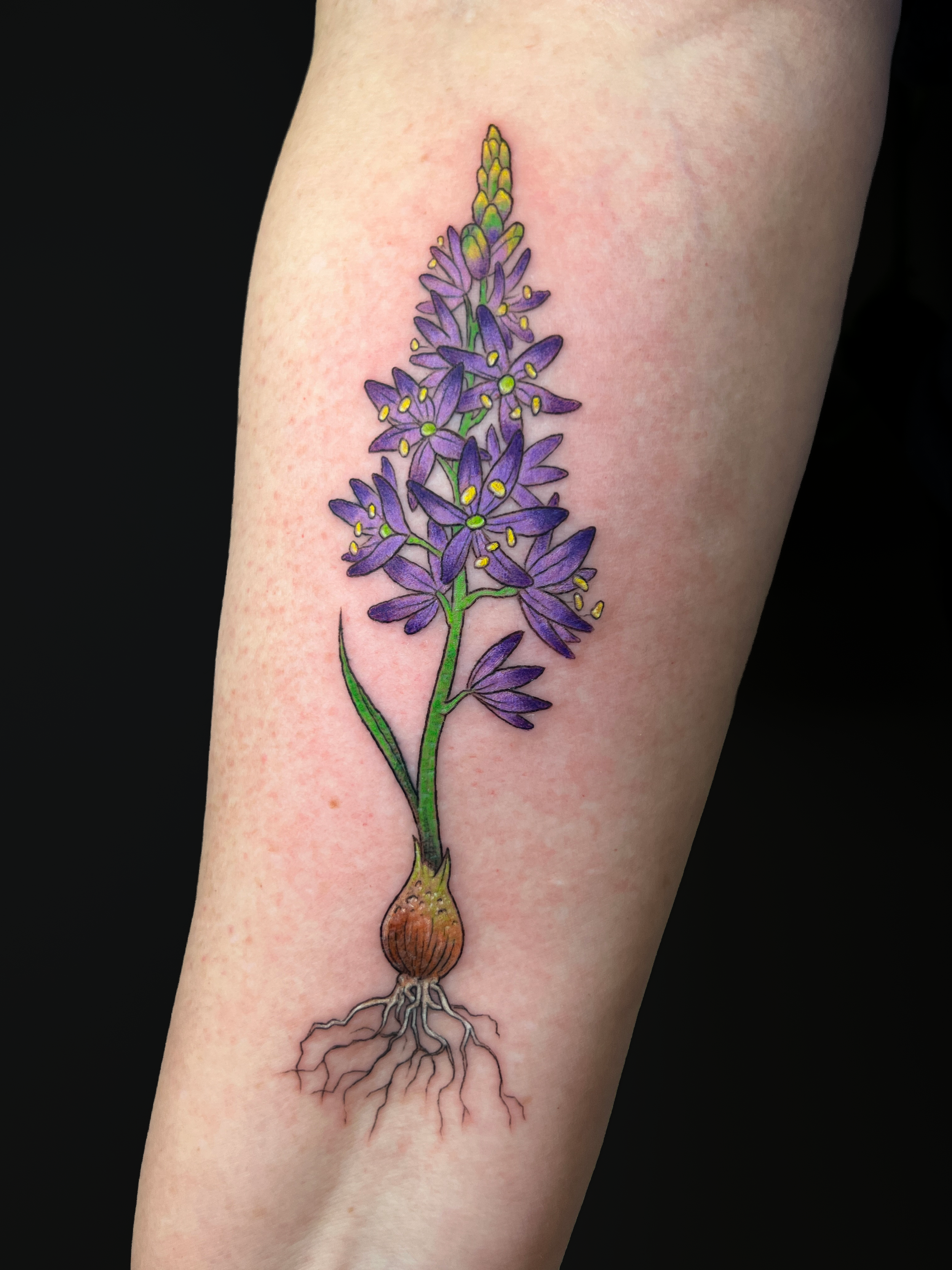 A tattoo of a purple lavender flower with green stems, a brown bulb, and detailed roots on a person's arm.