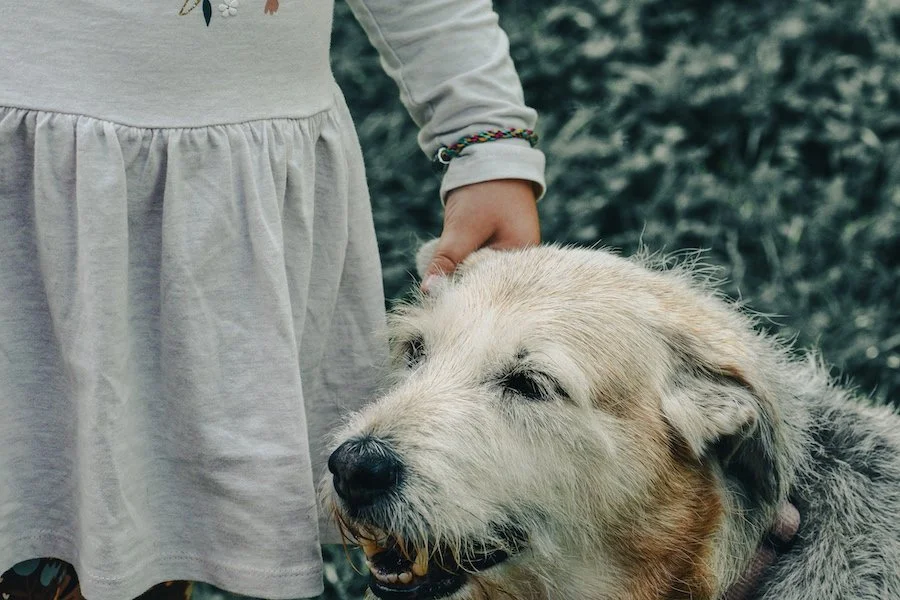 Talking to Kids About Pet Loss: What to Say (and What to Avoid)