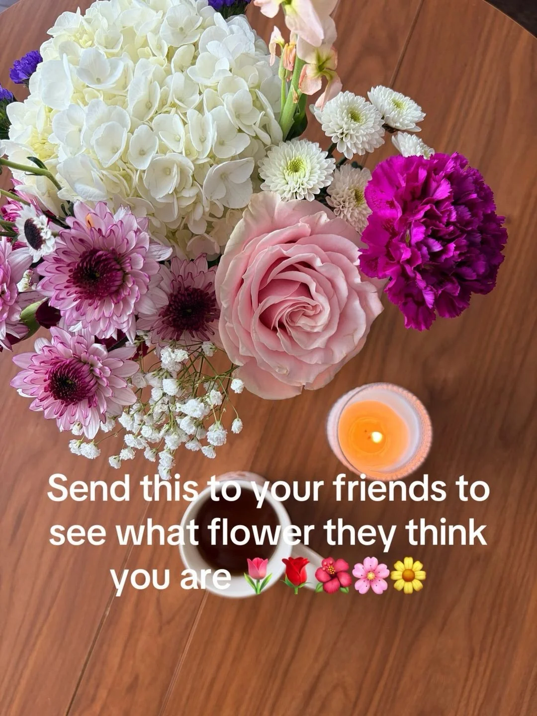 Every flower has its own personality&hellip; 🌷✨
Which flower are you? And which flower would your friends pick for you? 👀

Drop your answer below and send this to someone who knows you best! 💕

#SundayGardenia #FlowerLover #BloomBar #FlowerPersona