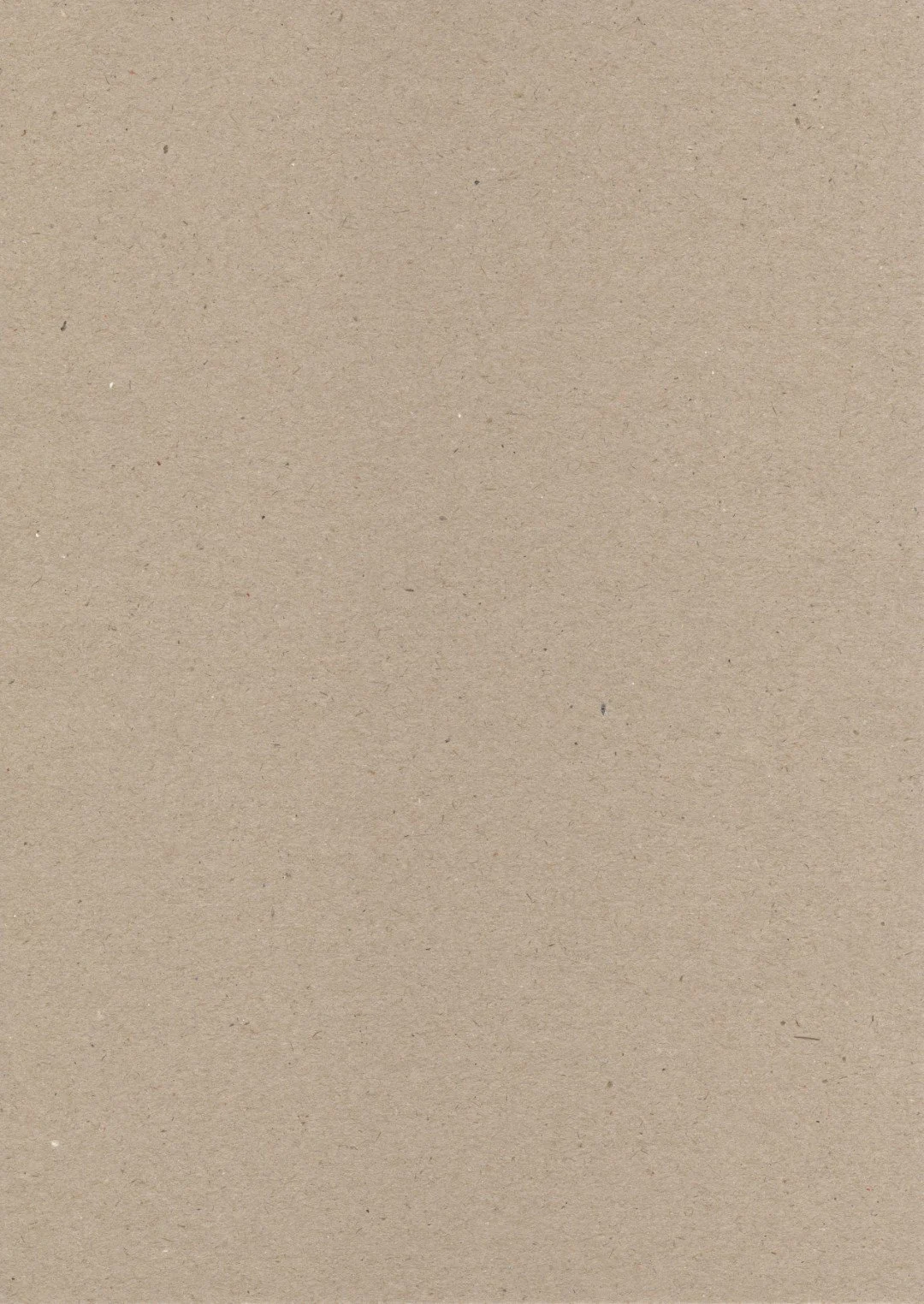 Blank beige paper or cardboard background.