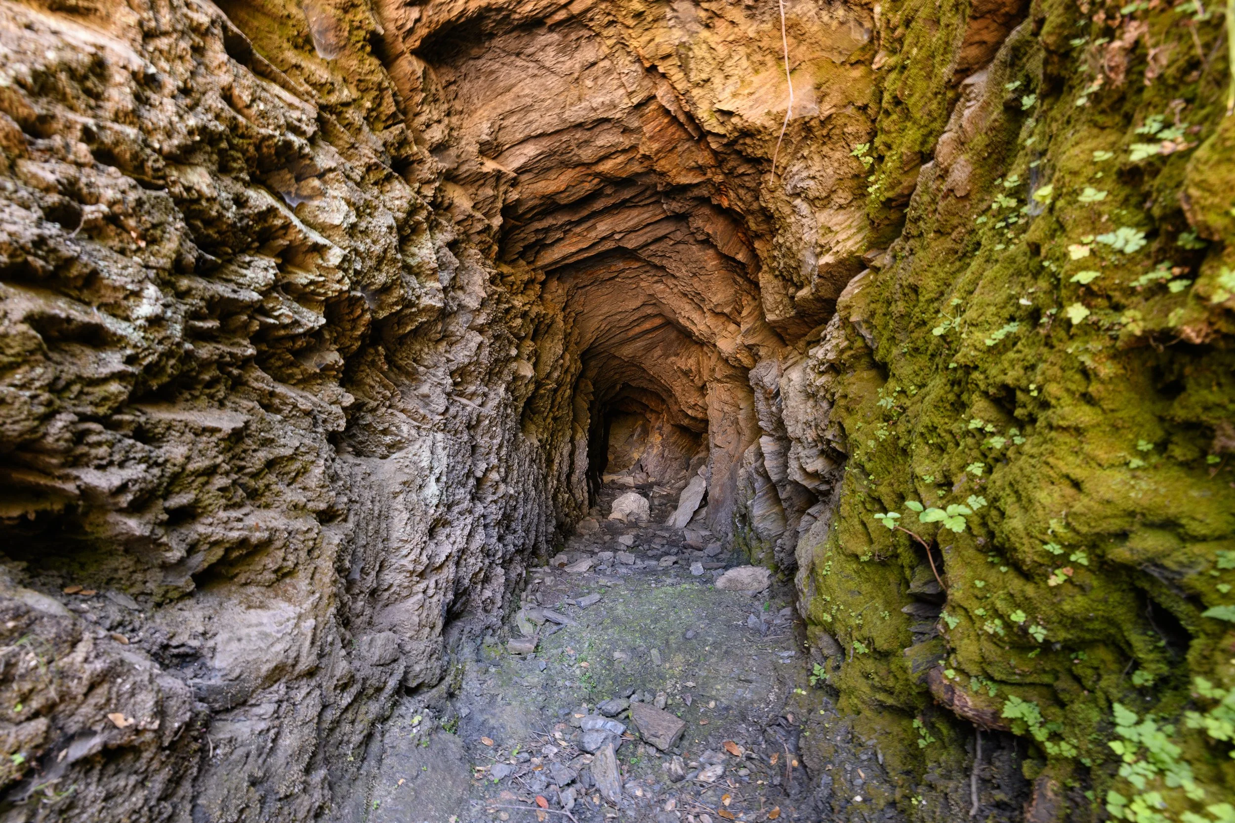 Historic mining tunnel reflecting the Gold Rush heritage and rugged landscape of Airola Ranch in Vallecito California