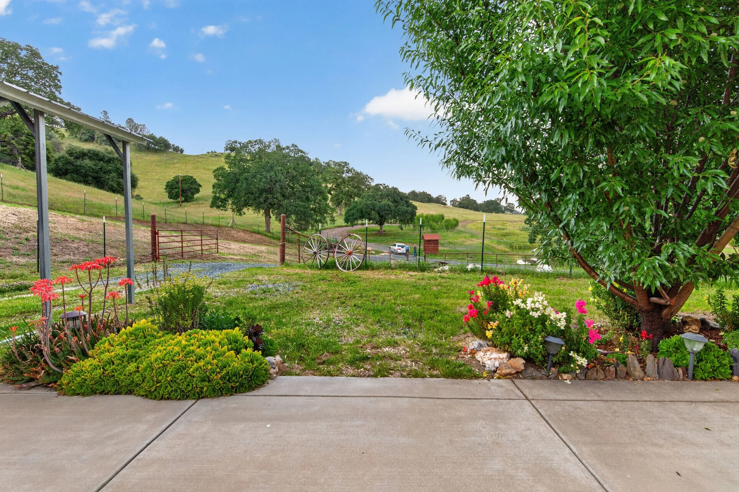 View of a garden with vibrant flowers, a large green tree, and a scenic countryside landscape with rolling hills, scattered trees, a parked white vehicle, and a small shed under a partly cloudy sky.