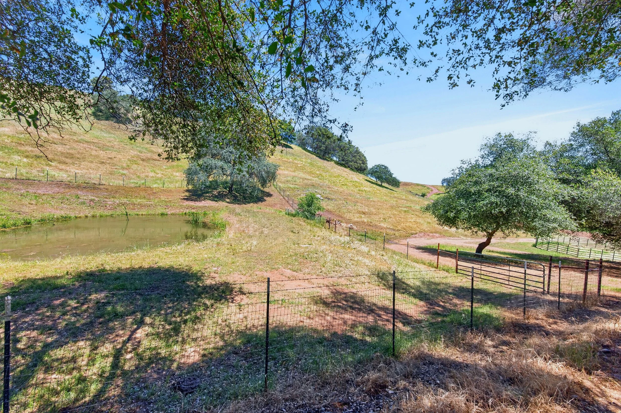 Scenic view of a grassy hillside with scattered trees, a pond, and a dirt path, under a blue sky with few clouds.