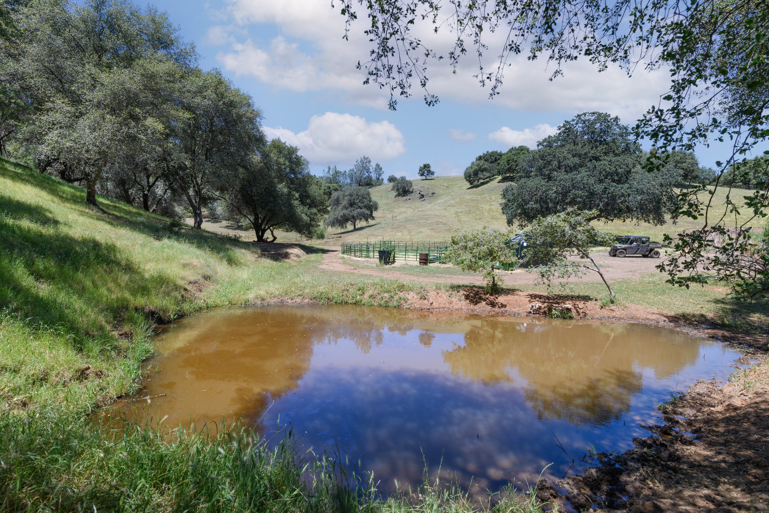 A small pond in a grassy, wooded rural area with a dirt path, trees, a fence, a trash bin, and a parked vehicle under a partly cloudy sky.