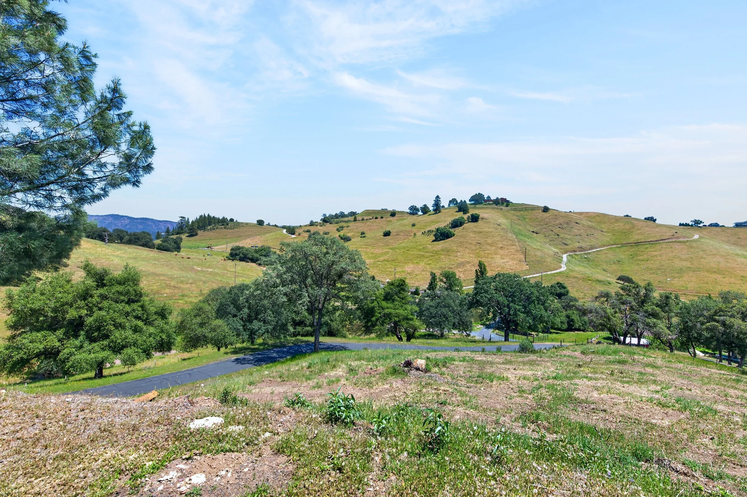 A landscape with green trees in the foreground, rolling hills with grass and scattered bushes, a winding dirt path, and a blue sky with some clouds.