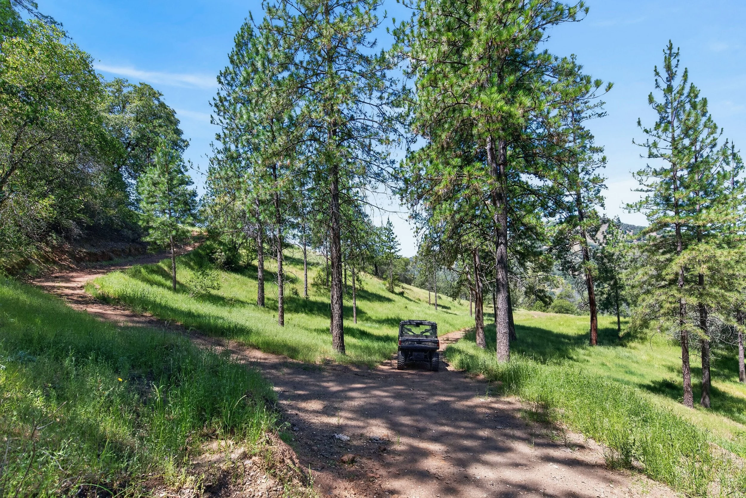Private trail at Airola Ranch in Vallecito California winding through scenic Sierra Foothill landscapes and mature pine trees.