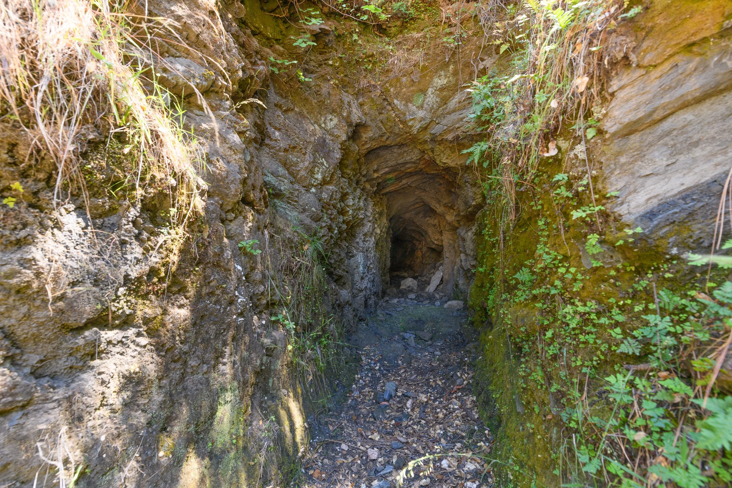 A narrow, rocky tunnel or cave entrance in a hillside with moss and small plants growing on the walls.