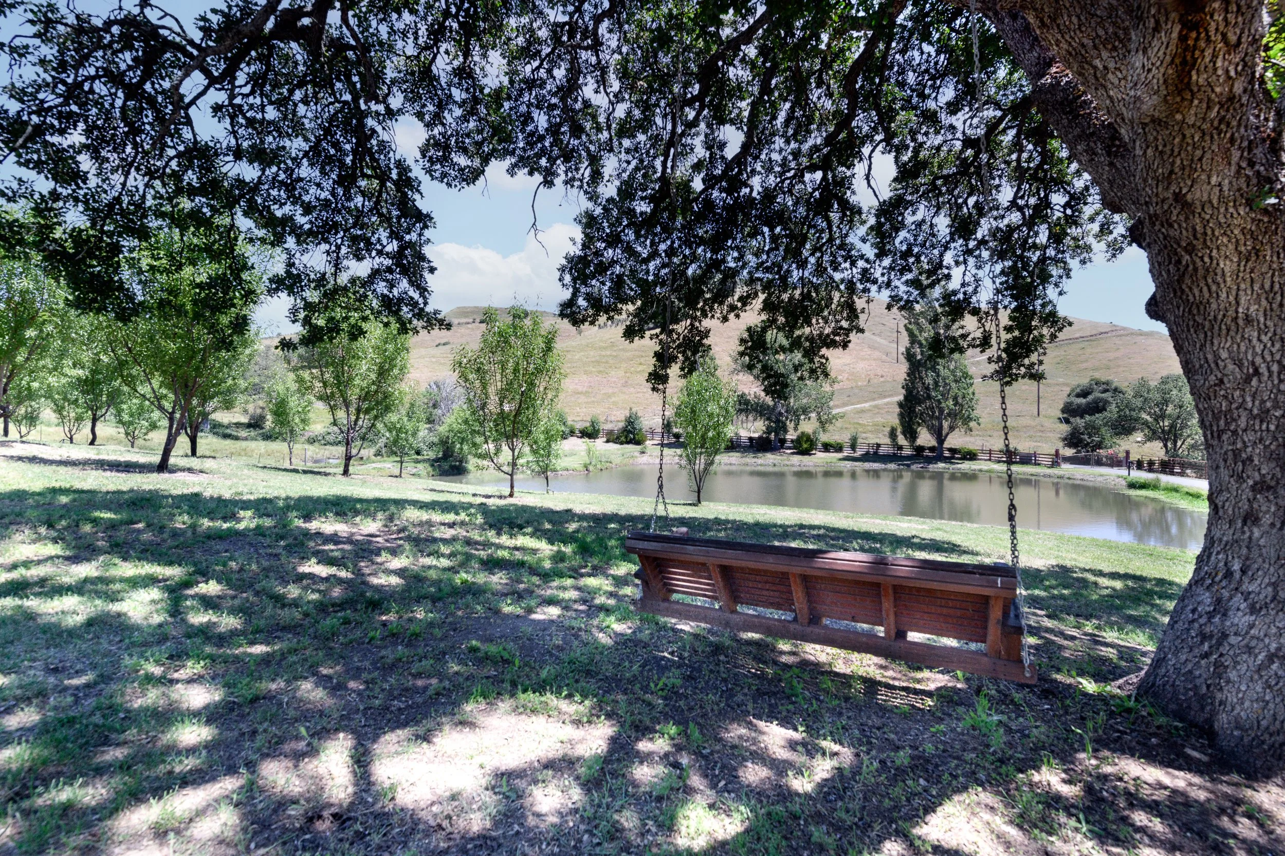 A park scene with a large tree and a wooden swing hanging from its branch, overlooking a pond with trees and hills in the background.