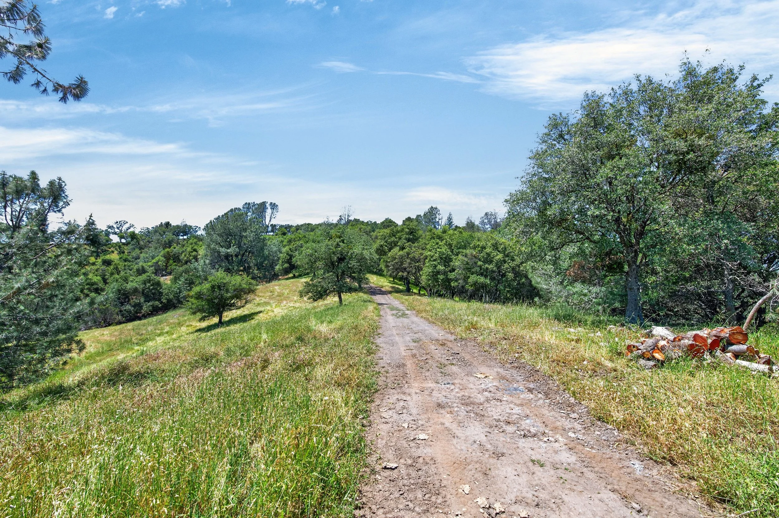 Walking and riding trail near Murphys and Angels Camp surrounded by rolling hills, pine trees, and open California countryside