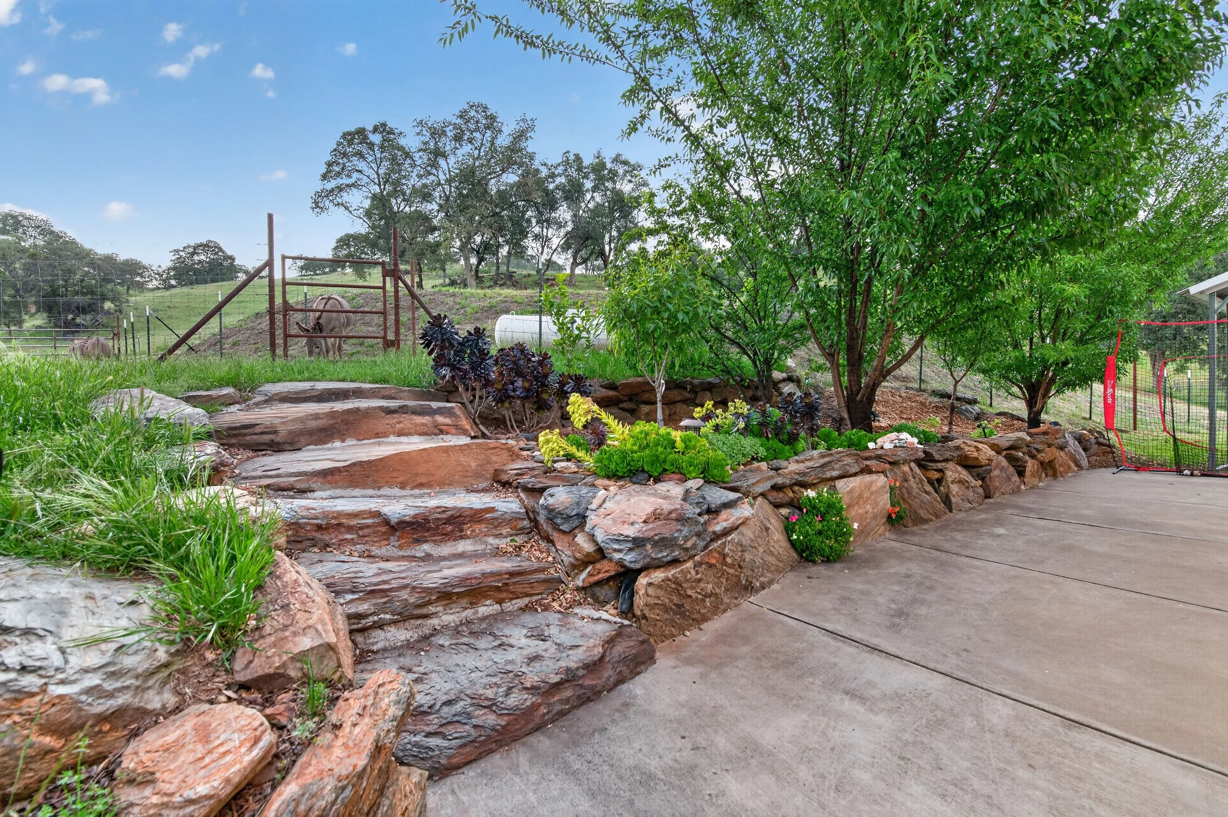 A backyard garden with a rock-bordered pond, lush green plants, tall trees, and a fenced-in animal enclosure with a horse grazing inside, under a partly cloudy sky.