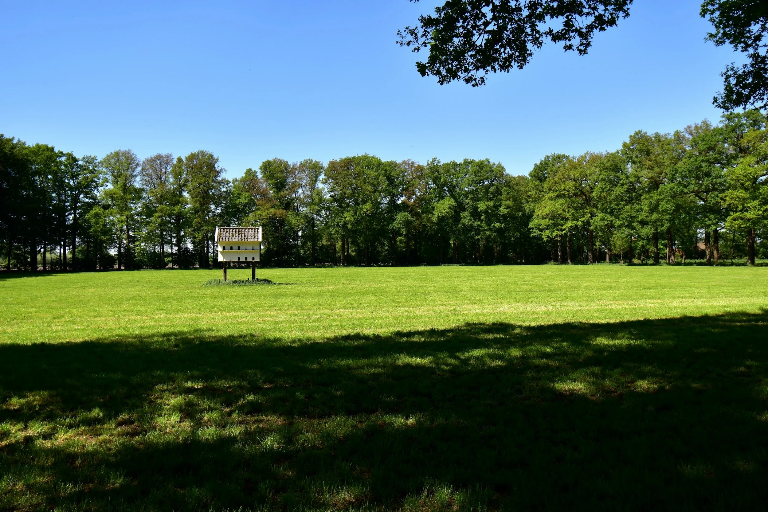 Hoyt Outdoor Lawn Mowing