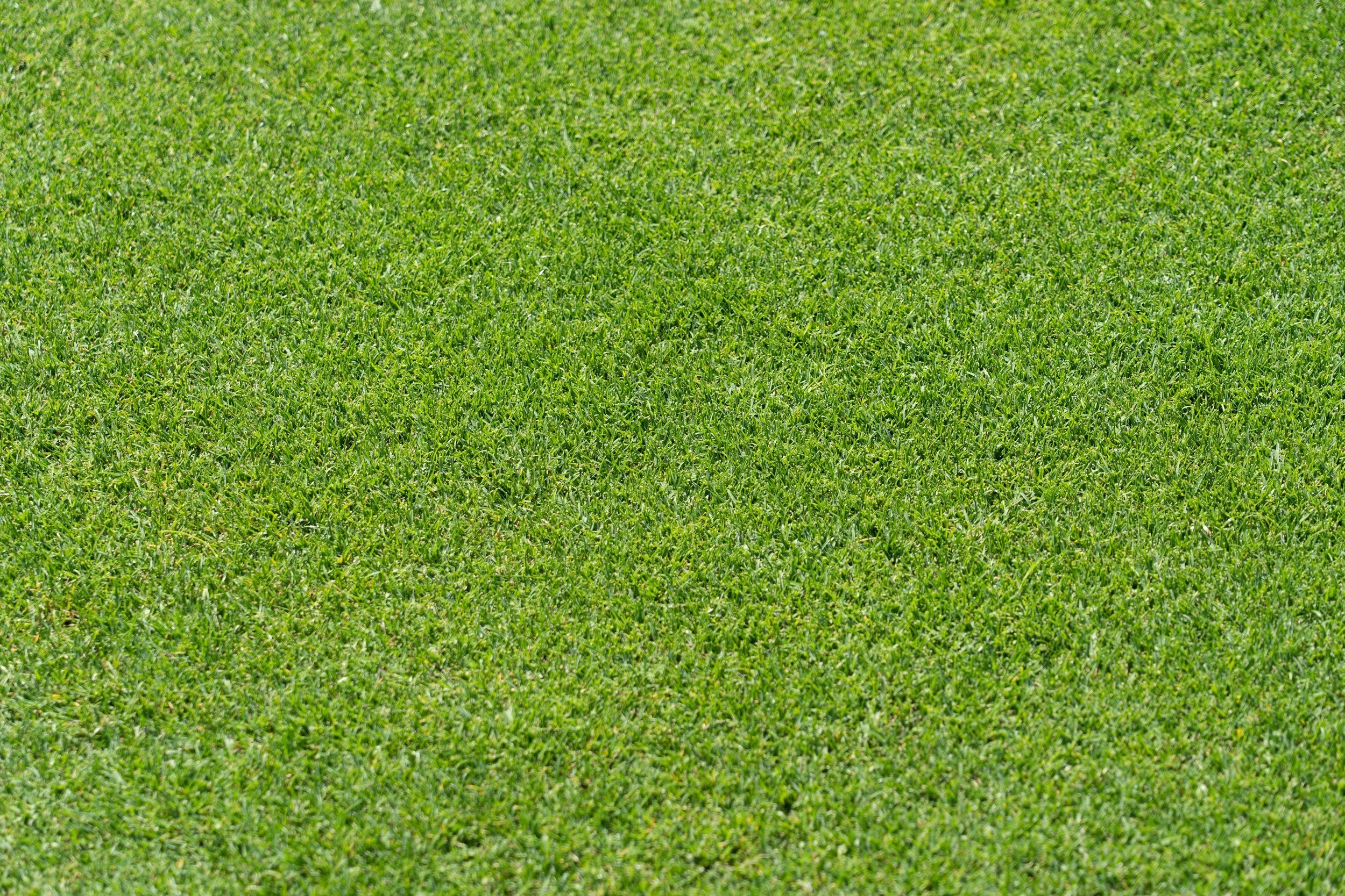 Overseeding
