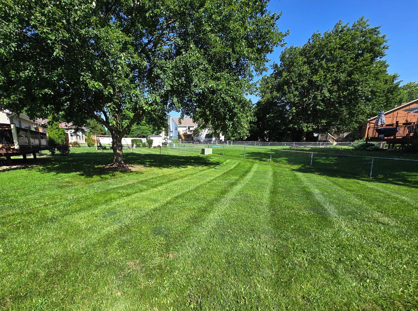 Lawn Care Maintenance near Me
