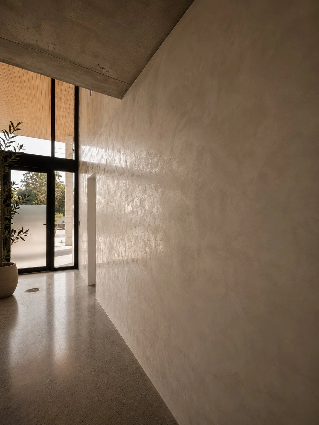 Modern interior hallway with a textured beige wall, a large glass door, potted plant, and wooden ceiling