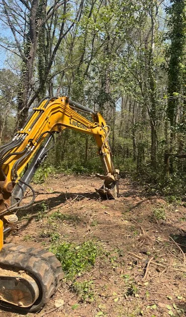 A yellow excavator working on clearing a wooded area with trees and dirt.