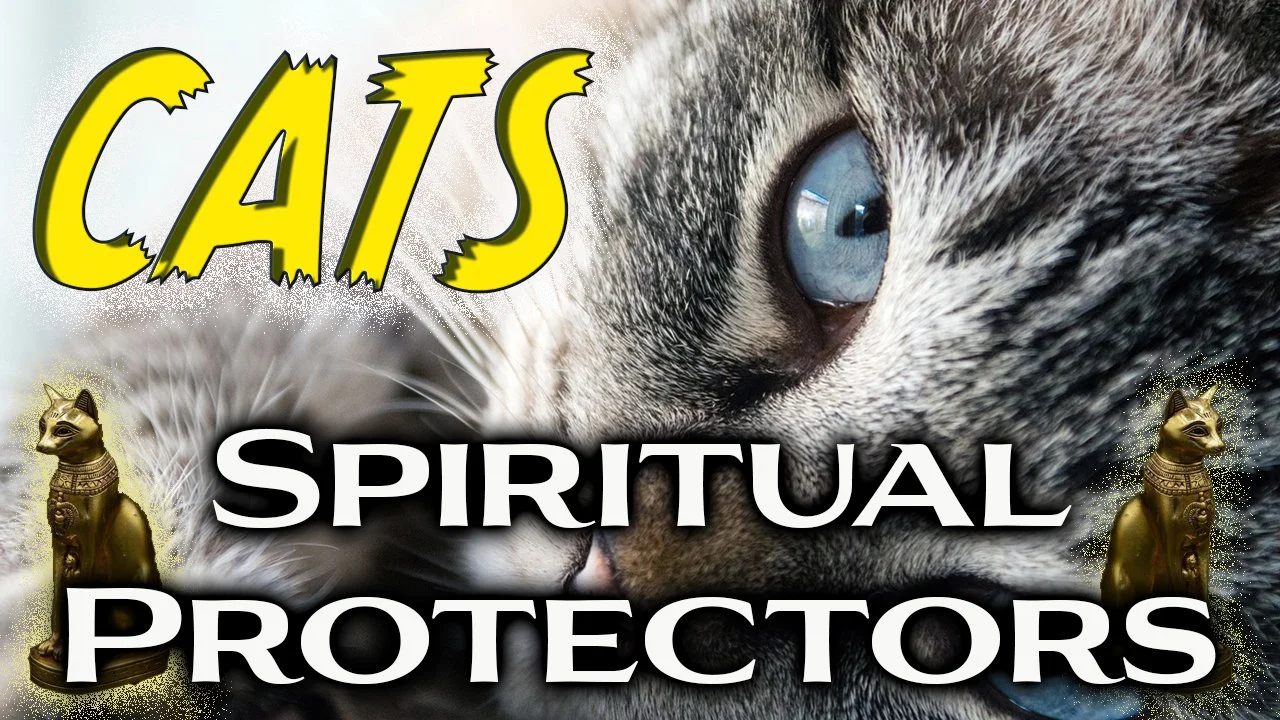 Cats - Spritual Protectors RUMBLE.jpg