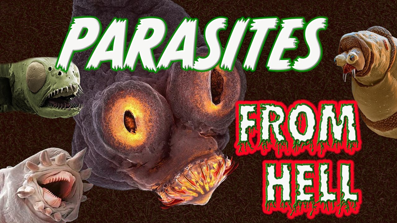 Parasites Are Demons Thumbnail Template PSD File RUMBLE.jpg