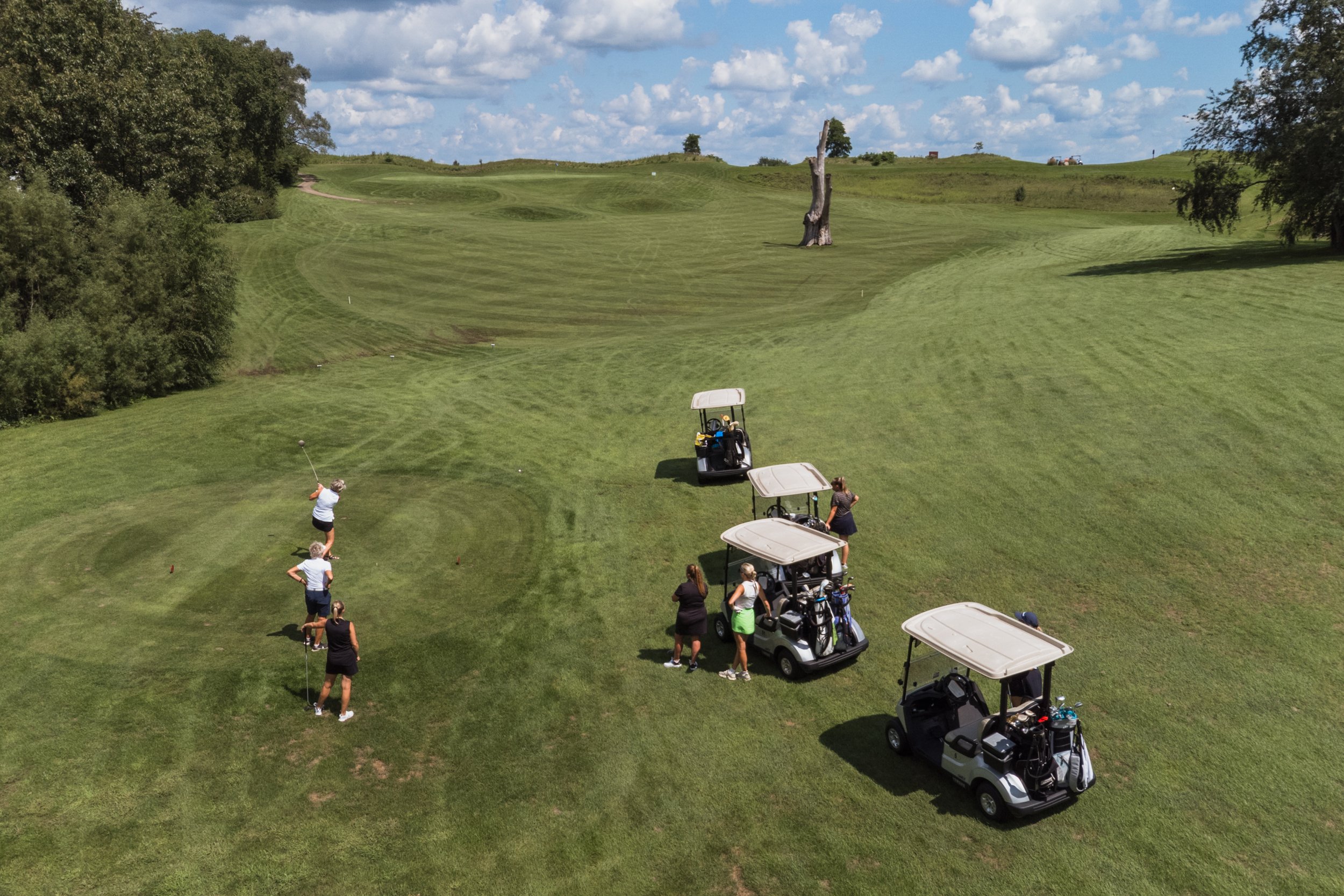 DJI_0294-69.jpg