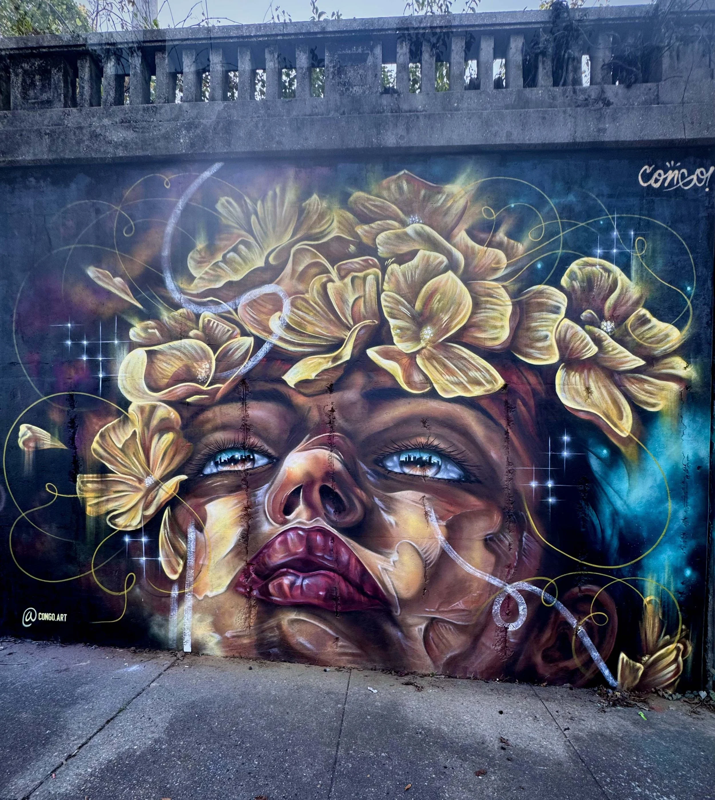 "Beauty nature" - Paint Memphis Fest , Tennessee (2024)