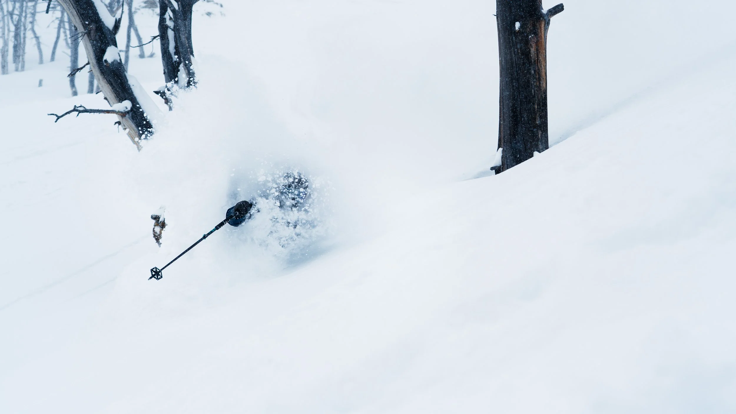 A person skiing in deep snow, crashing into a tree in a snow-covered forest.