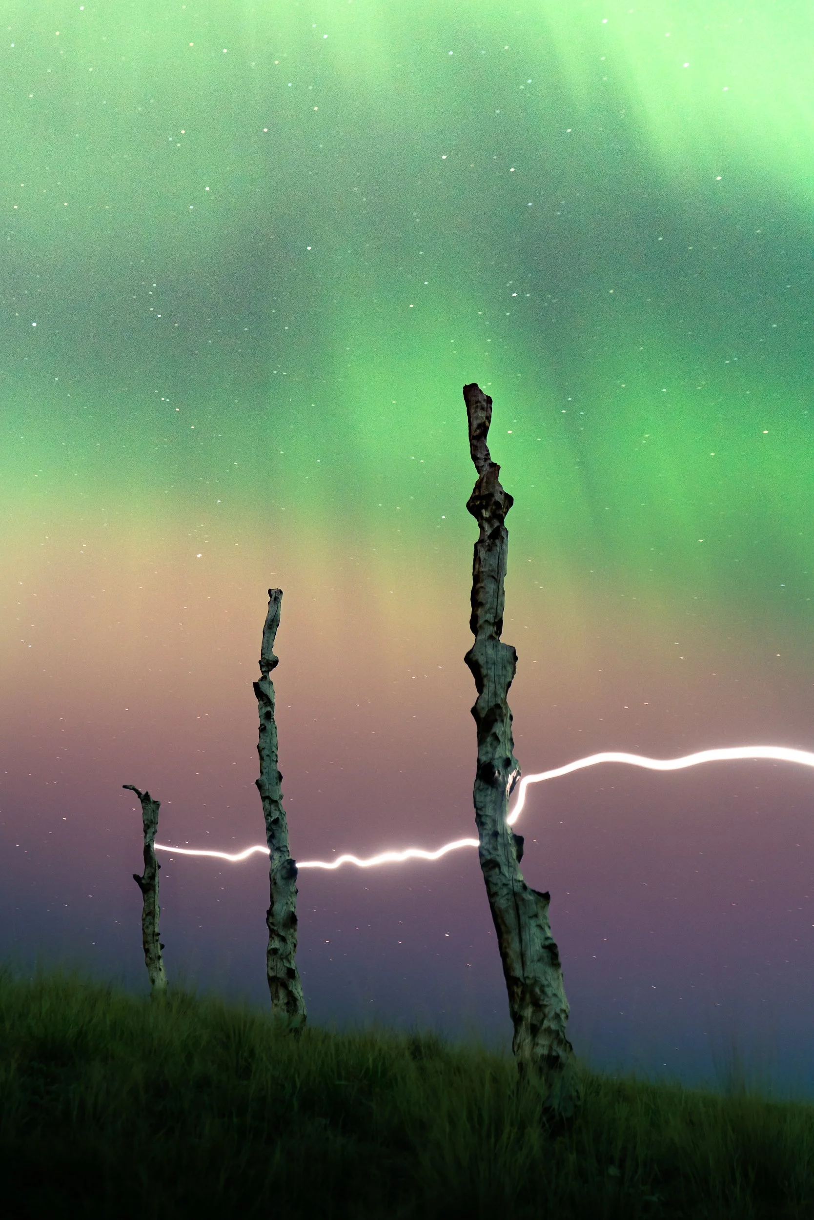 Northern lights in the sky above three leafless trees and grass in the foreground, with light trails at the bottom of the image.