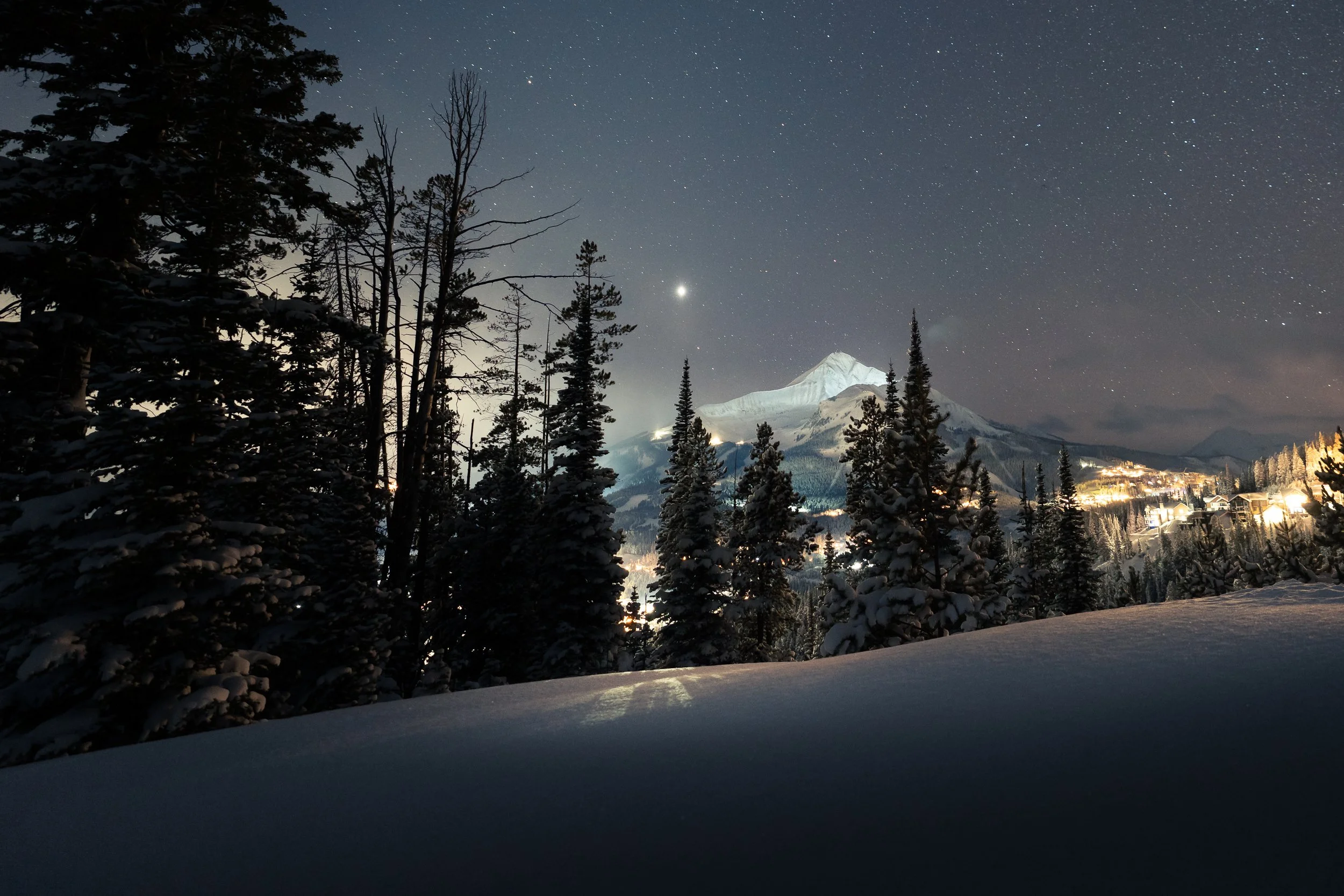 Snow-covered trees in foreground with a mountain and starry night sky in the background.