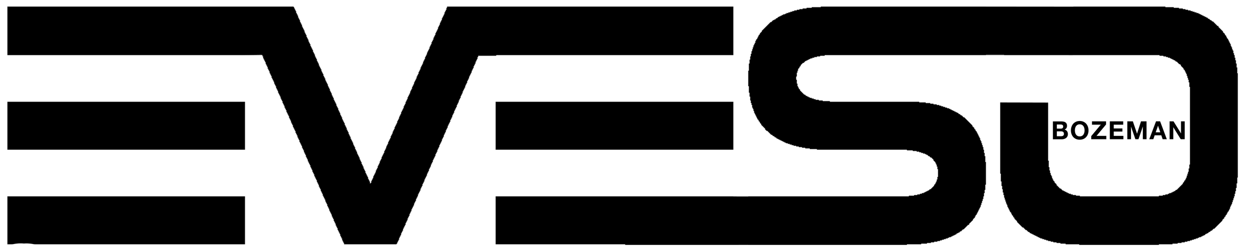 Black silhouette of the EVESO logo on a white background.