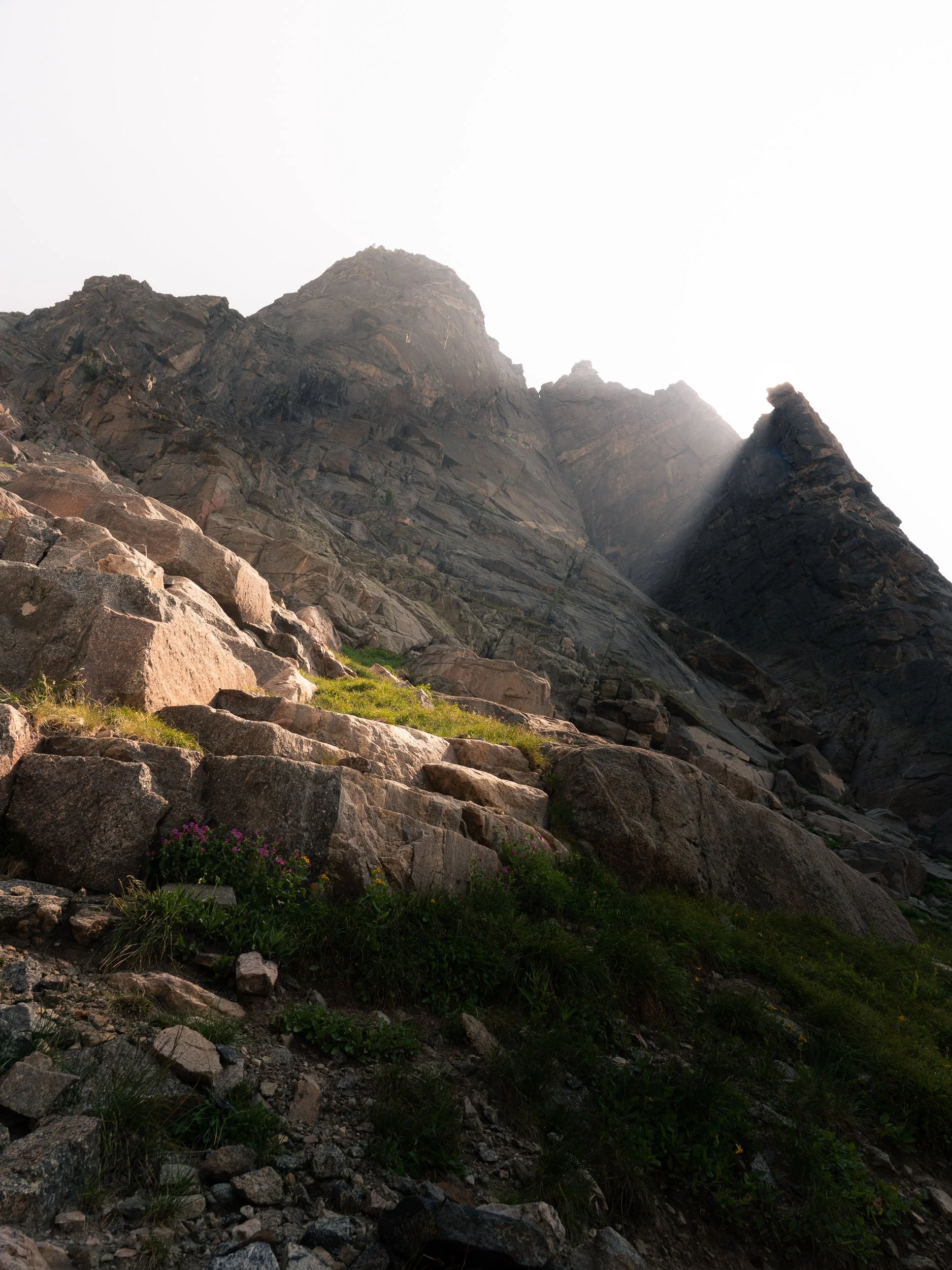 Steep rocky mountain slope with sparse vegetation, some green grass and small purple flowers in the foreground, and bright sunlight creating a glow around the mountain peak.