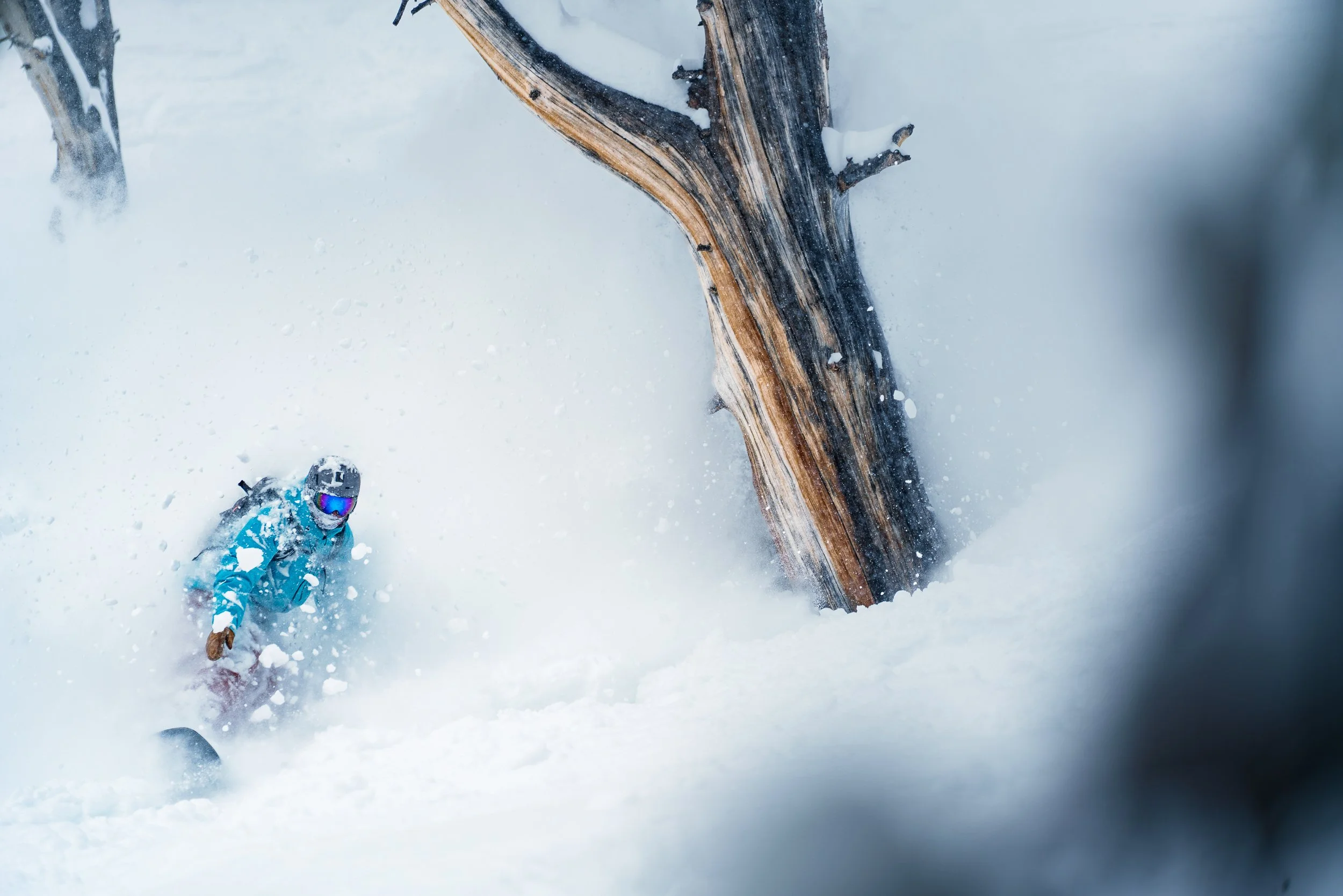 A skier in a blue outfit and goggles snowboards down a snowy slope near a large, weathered tree log. Snow is falling heavily, creating a misty atmosphere.