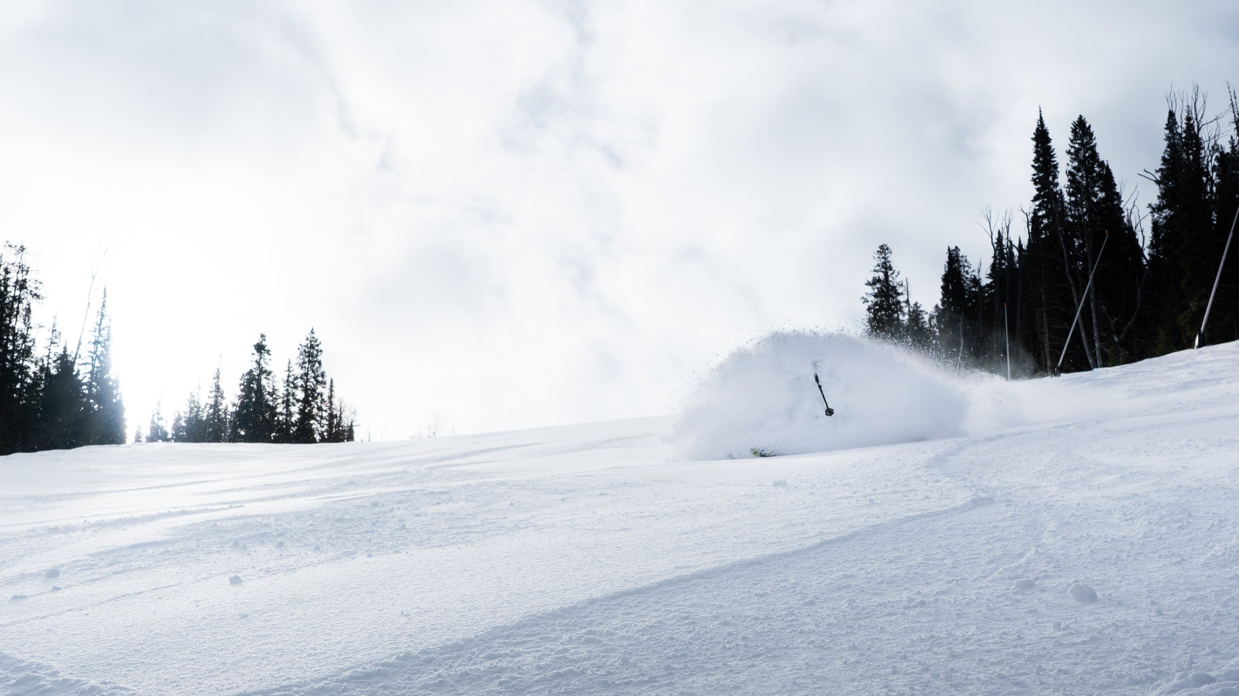 A skier is skiing down a snowy mountain surrounded by tall pine trees, kicking up snow with cloudy skies overhead.