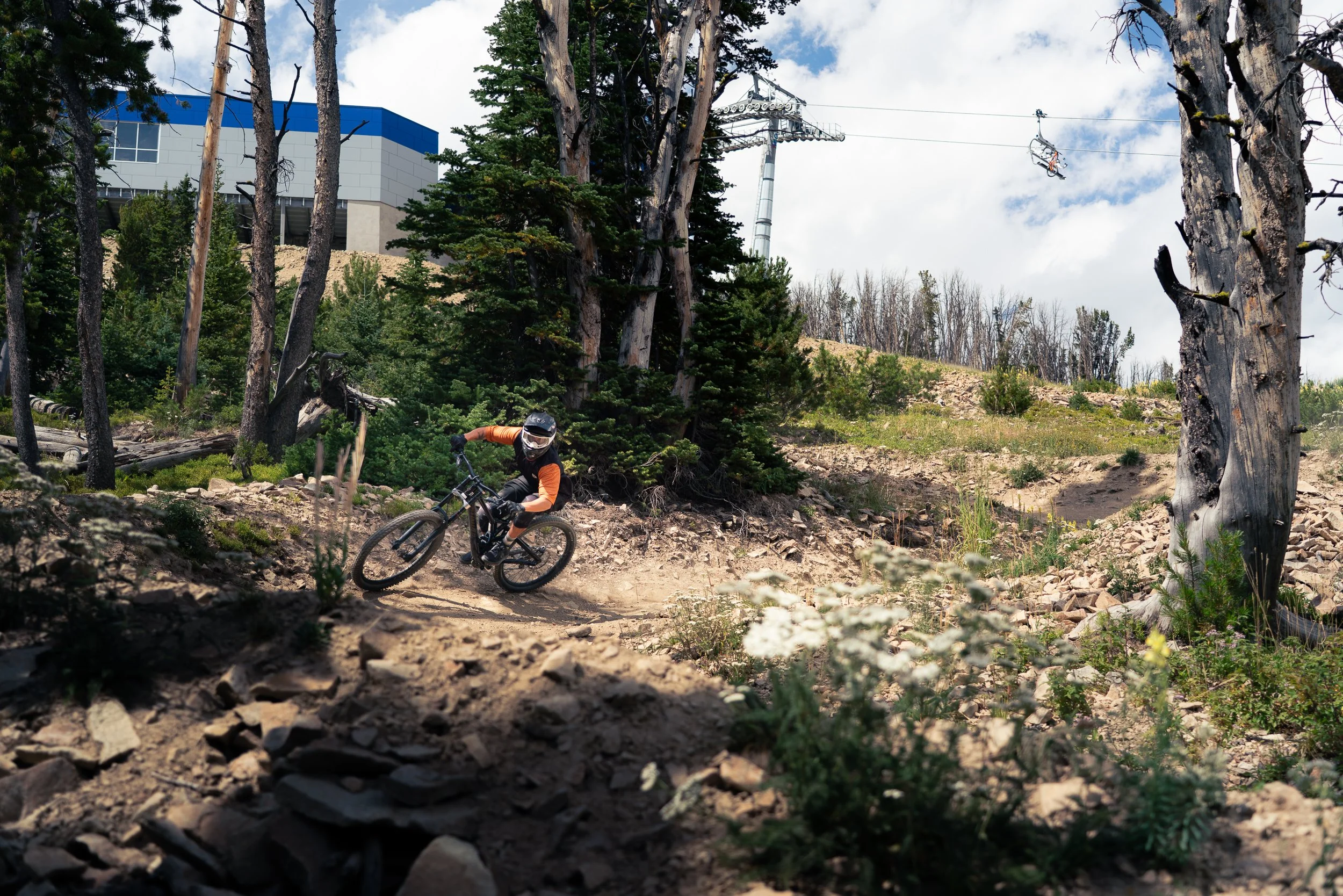 A mountain biker wearing an orange and black jacket and gray helmet rides downhill on a rocky dirt trail through a forested area with tall trees, some with charred trunks, and a ski lift in the background on a partly cloudy day.