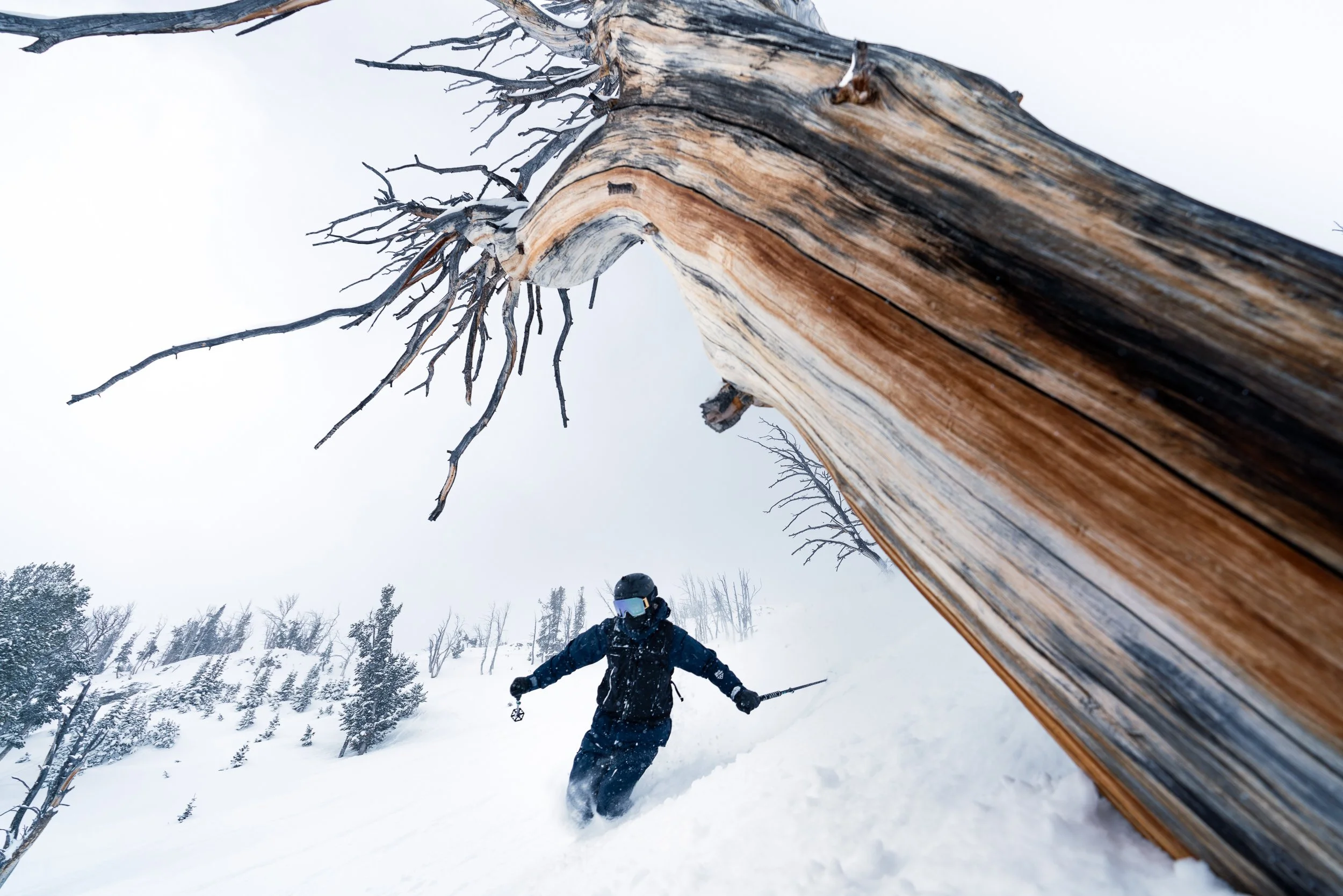 A person snowboarding in a snowy, forested mountain landscape during winter, with snow-covered trees in the background and a large, weathered tree trunk in the foreground.